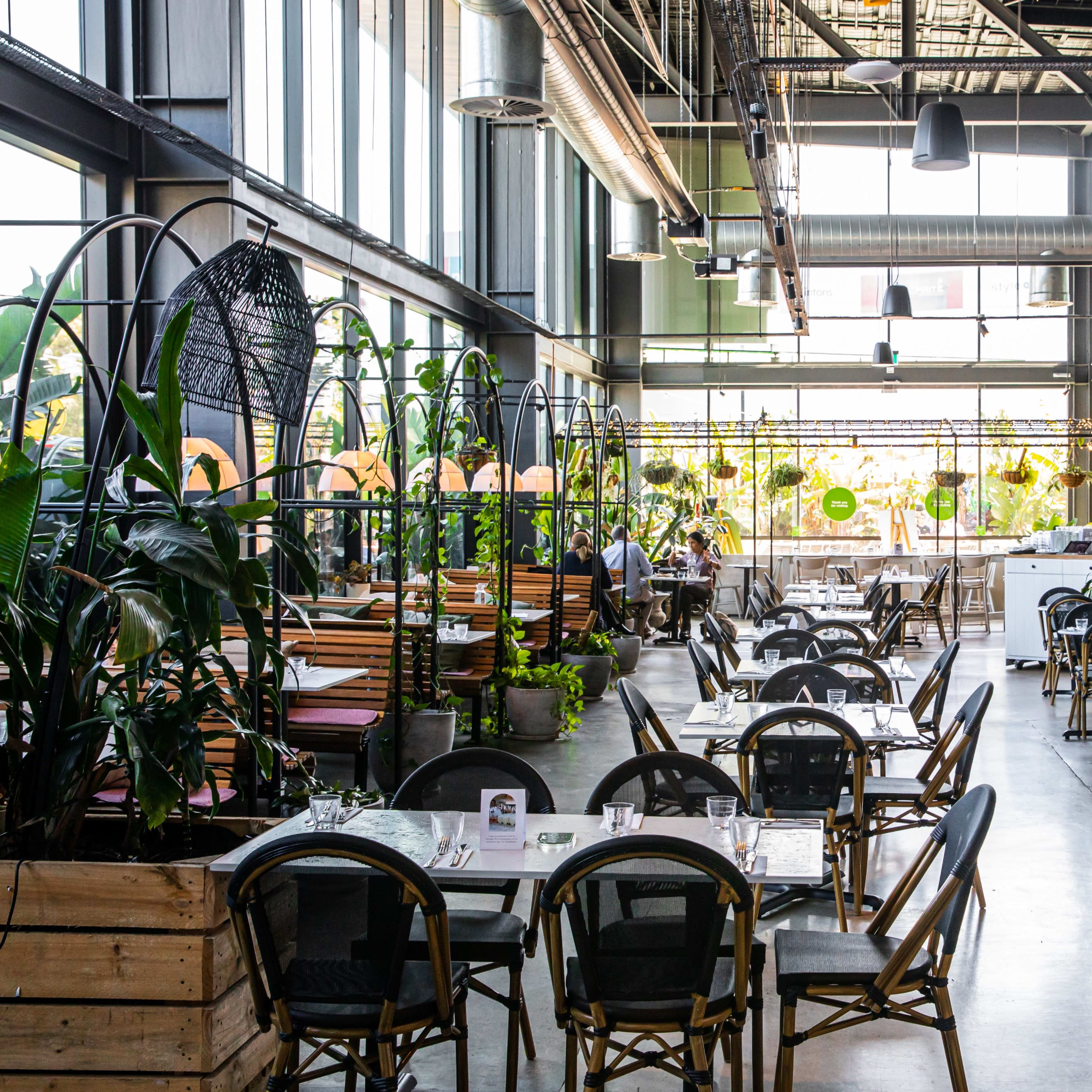 A modern restaurant interior featuring multiple dining tables, greenery, and large windows that allow natural light to enter the space.