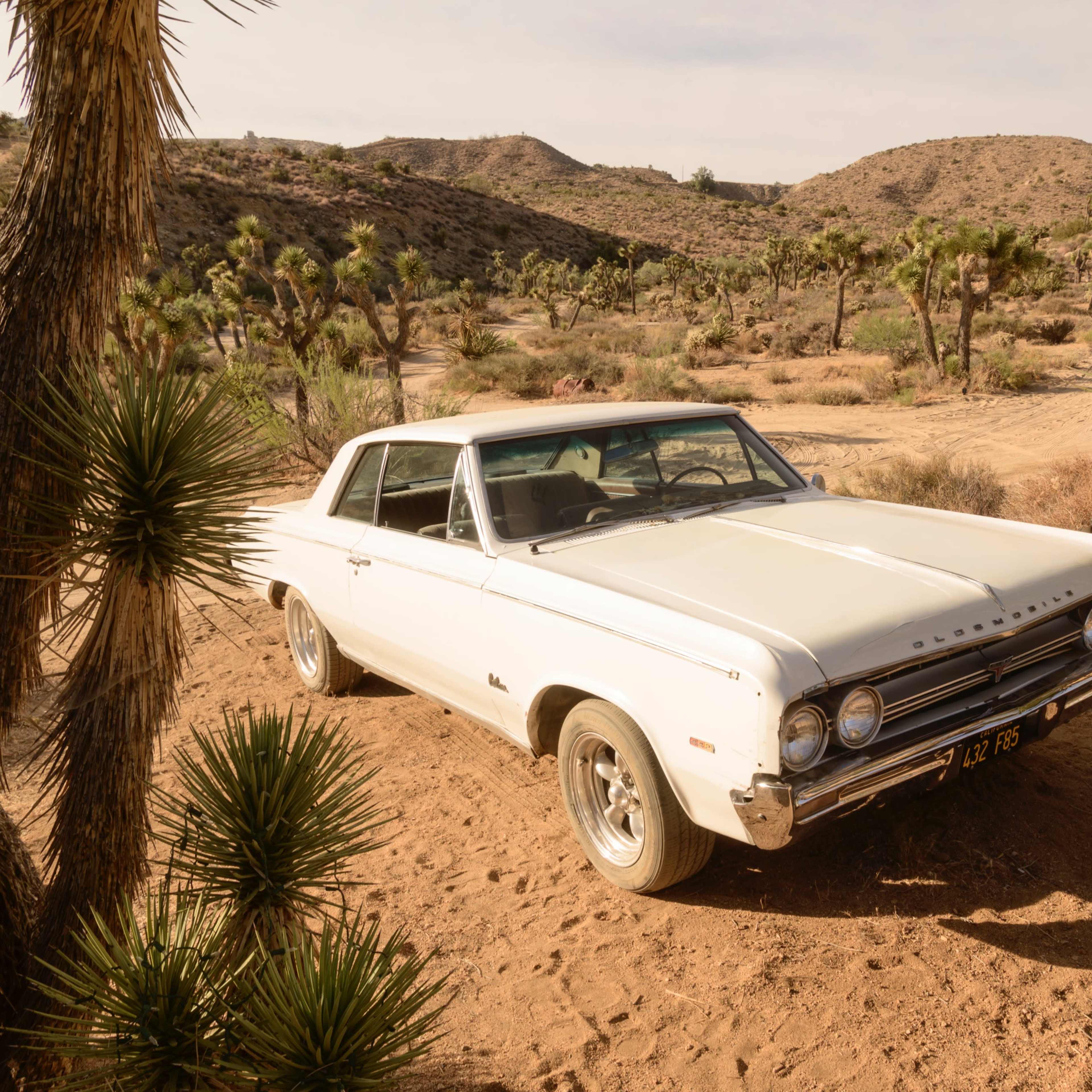 Velvet Mountain Seclusion Vintage & Backdrops in the Morongo Valley Desert Image in Yucca Valley, Yucca Valley, CA