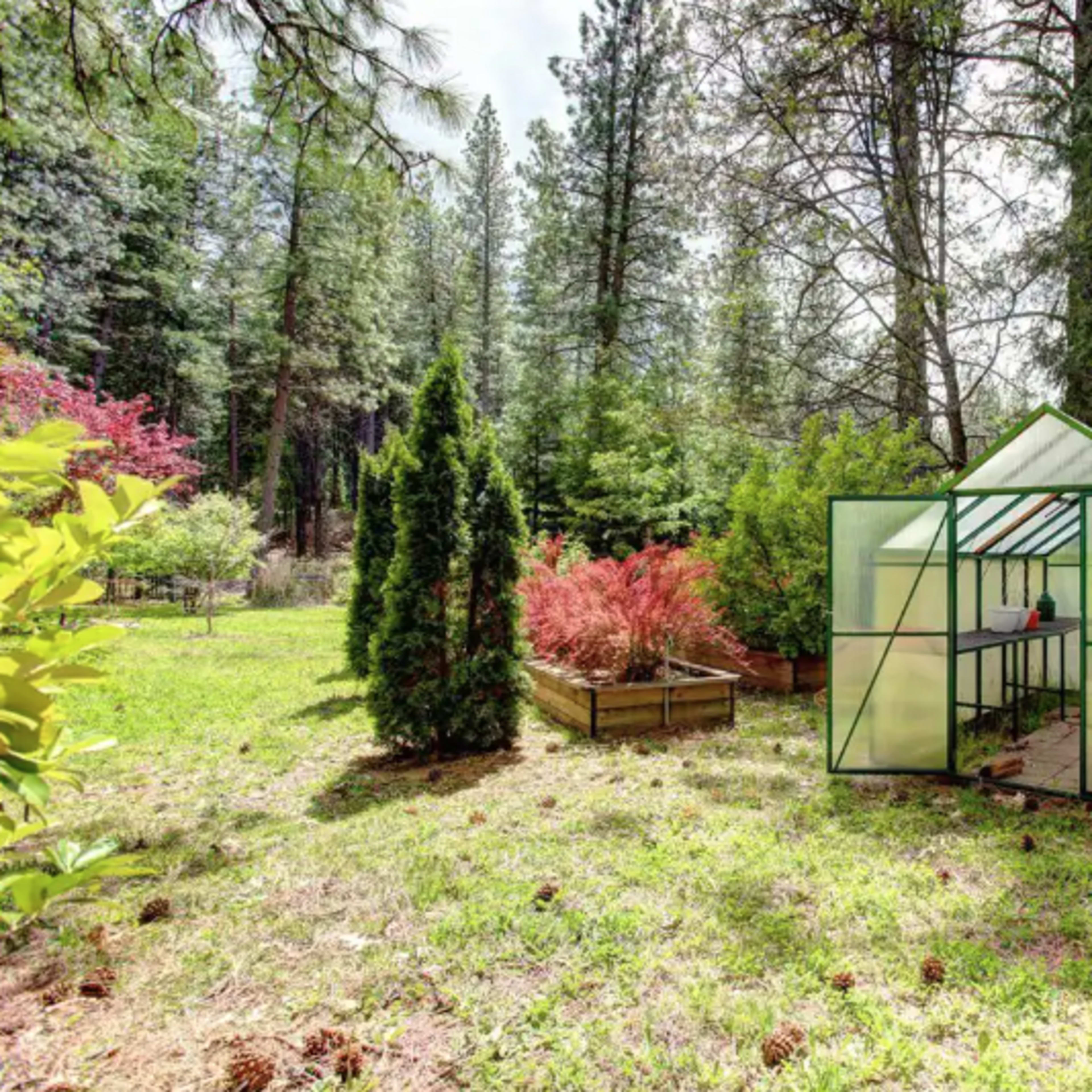 A green greenhouse sits in a secluded garden surrounded by tall trees and a wooden planter filled with plants.