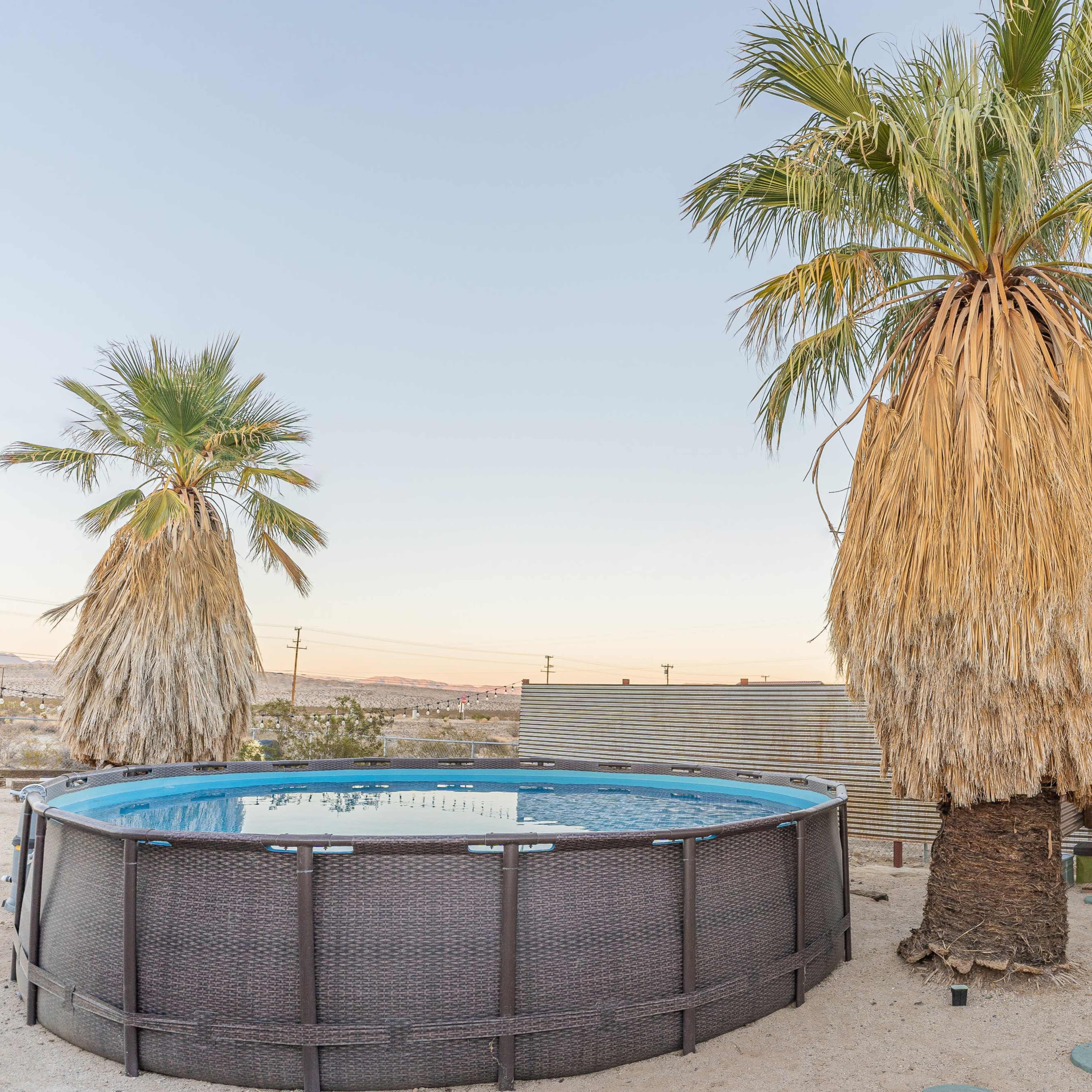 A blue above-ground pool is surrounded by two tall palm trees and a wooden privacy fence in a desert landscape.