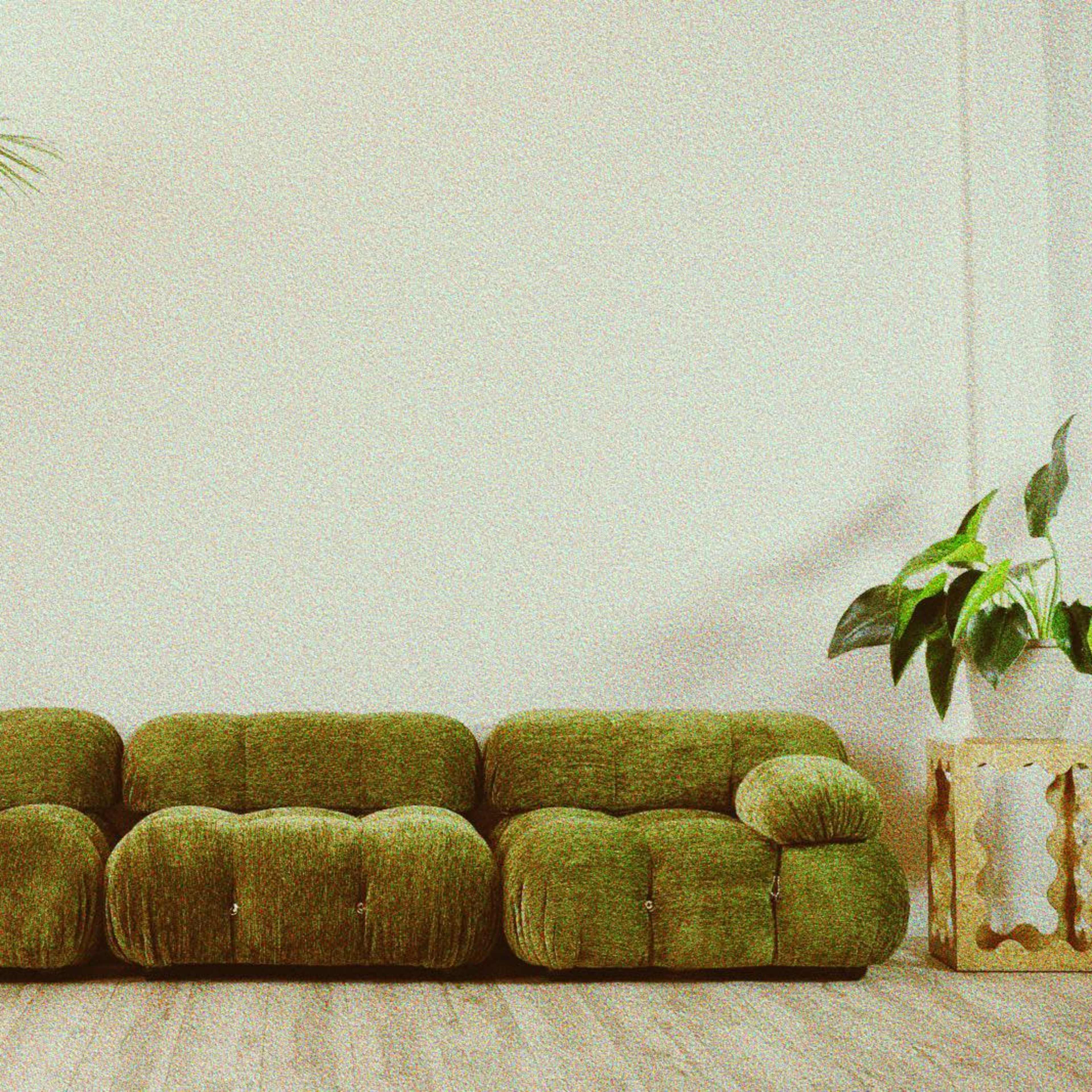 A green, tufted sofa is placed against a plain wall, alongside tall indoor plants in decorative pots.