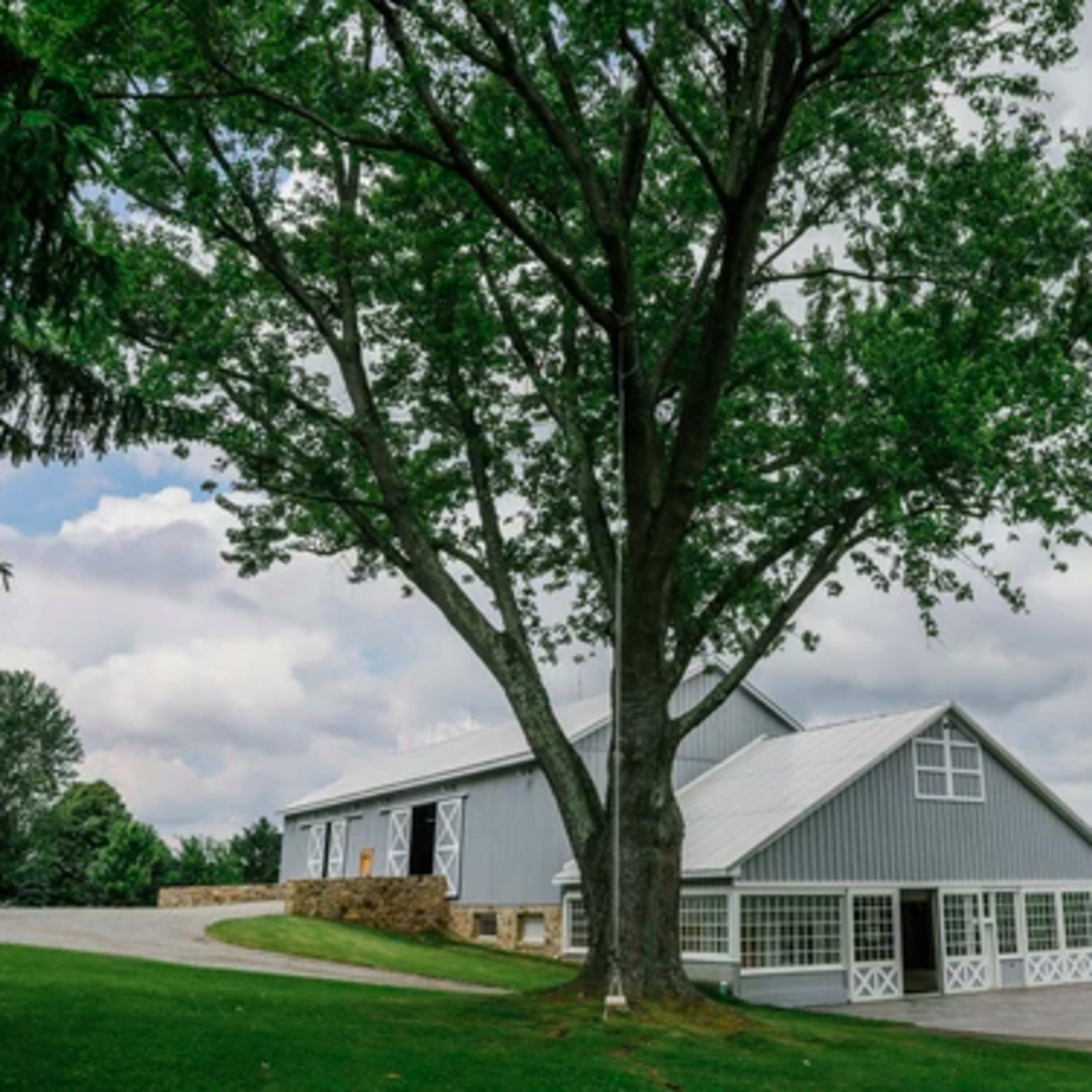 A large gray barn with a sloped roof is situated beside a sprawling tree on a grassy area under a cloudy sky.