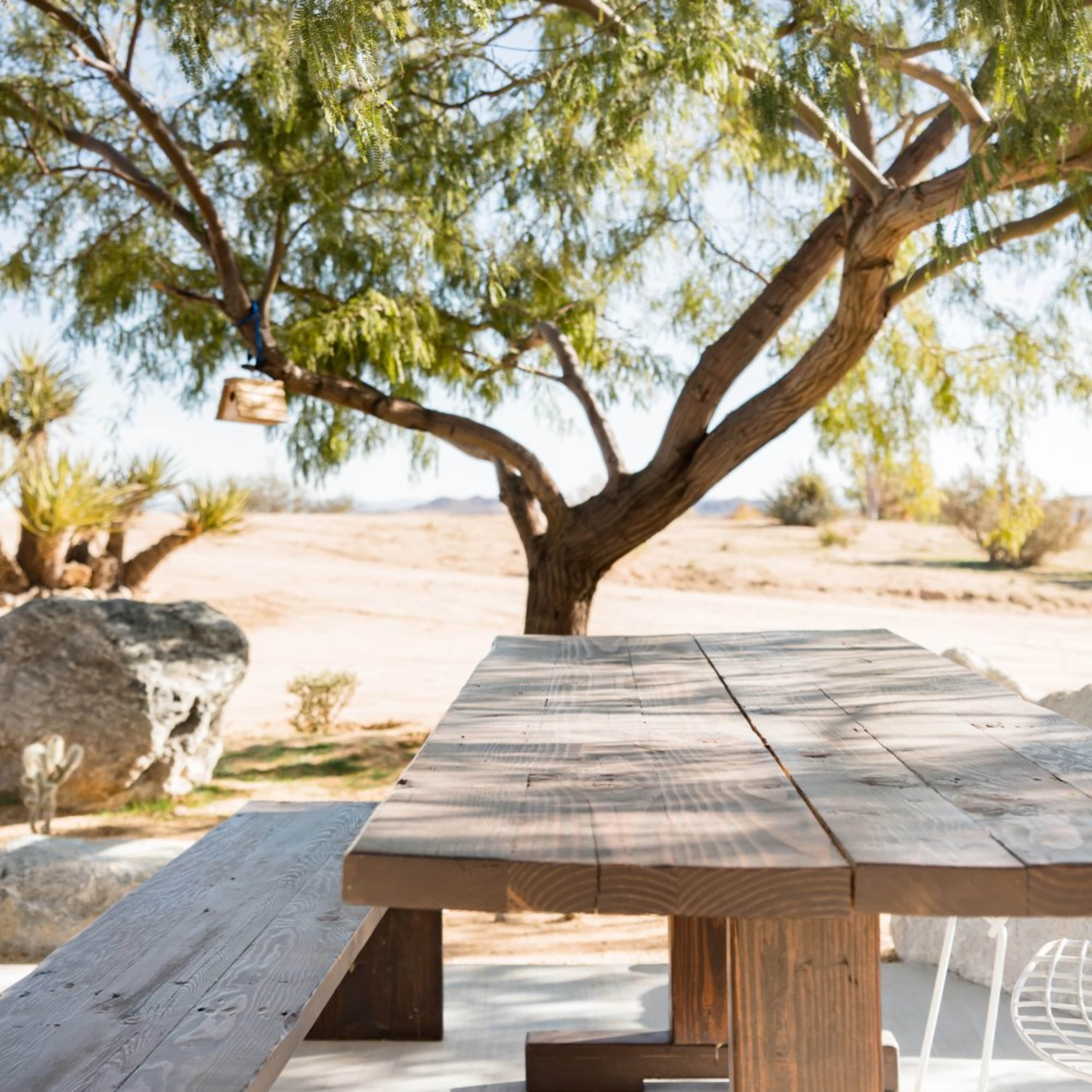 A wooden picnic table is positioned beneath a large tree with green leaves in a desert landscape.