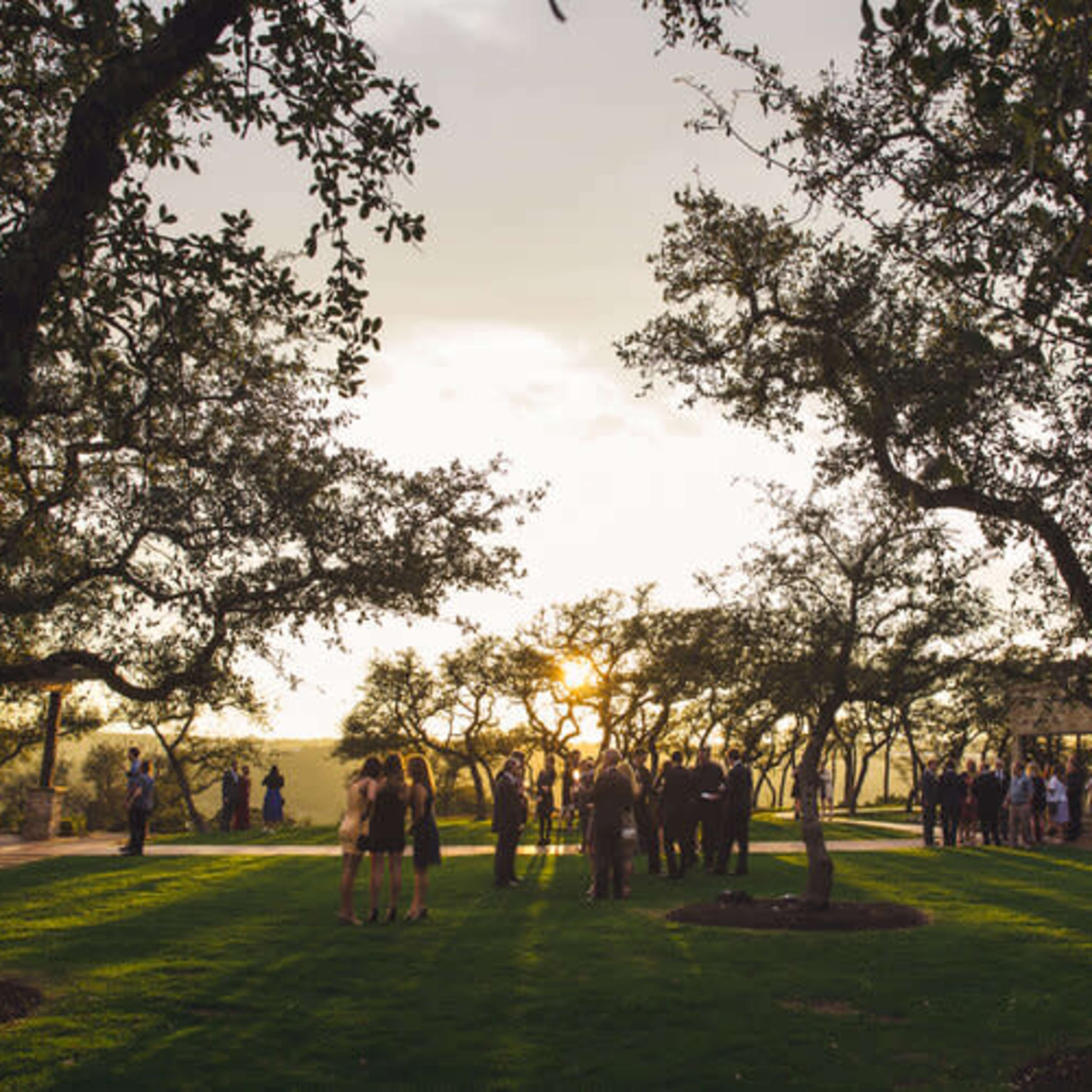 A group of people gather in a grassy area surrounded by trees as the sun sets in the background.