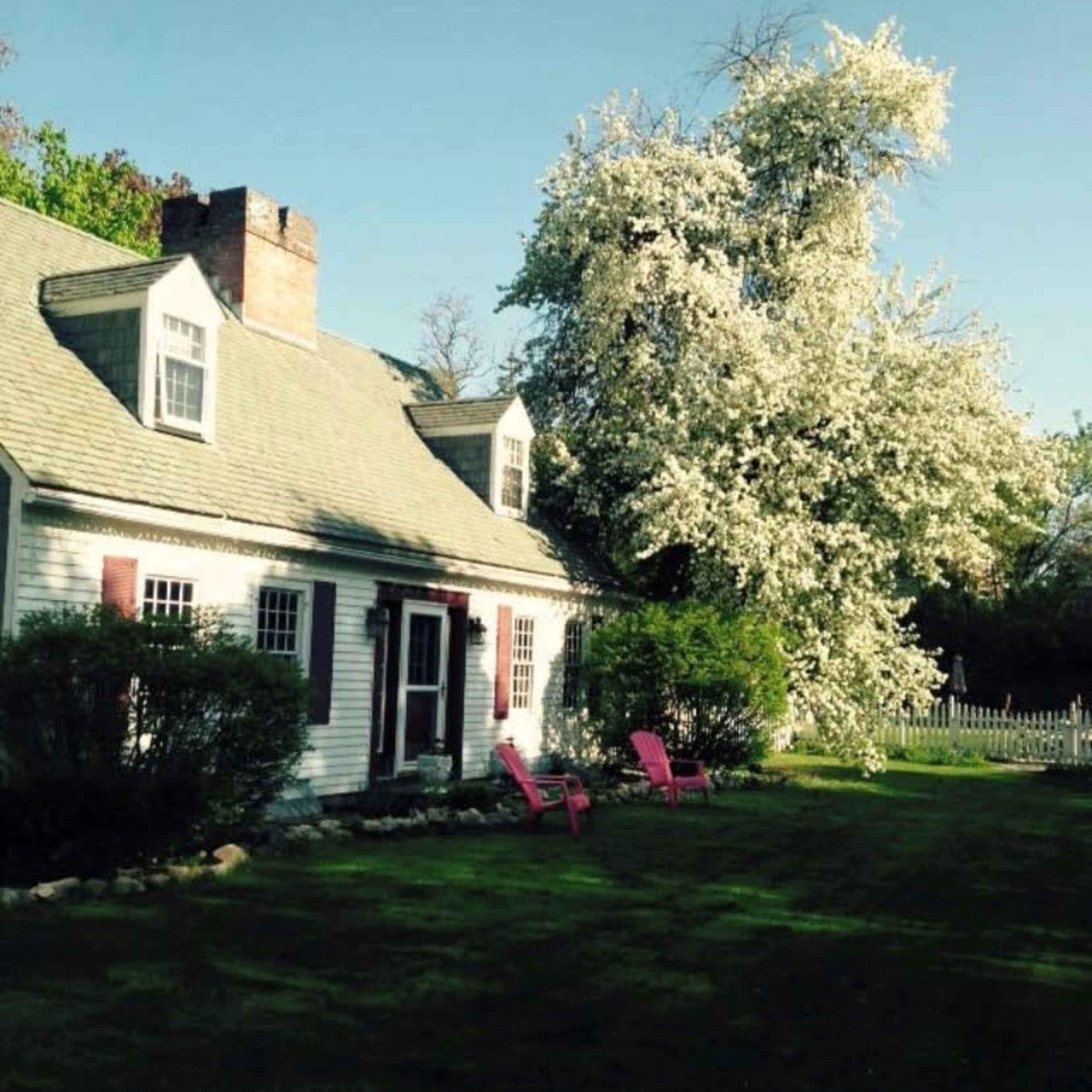 A white house with a sloped roof is surrounded by a lawn, featuring two pink chairs and a large tree with white blossoms in the background.