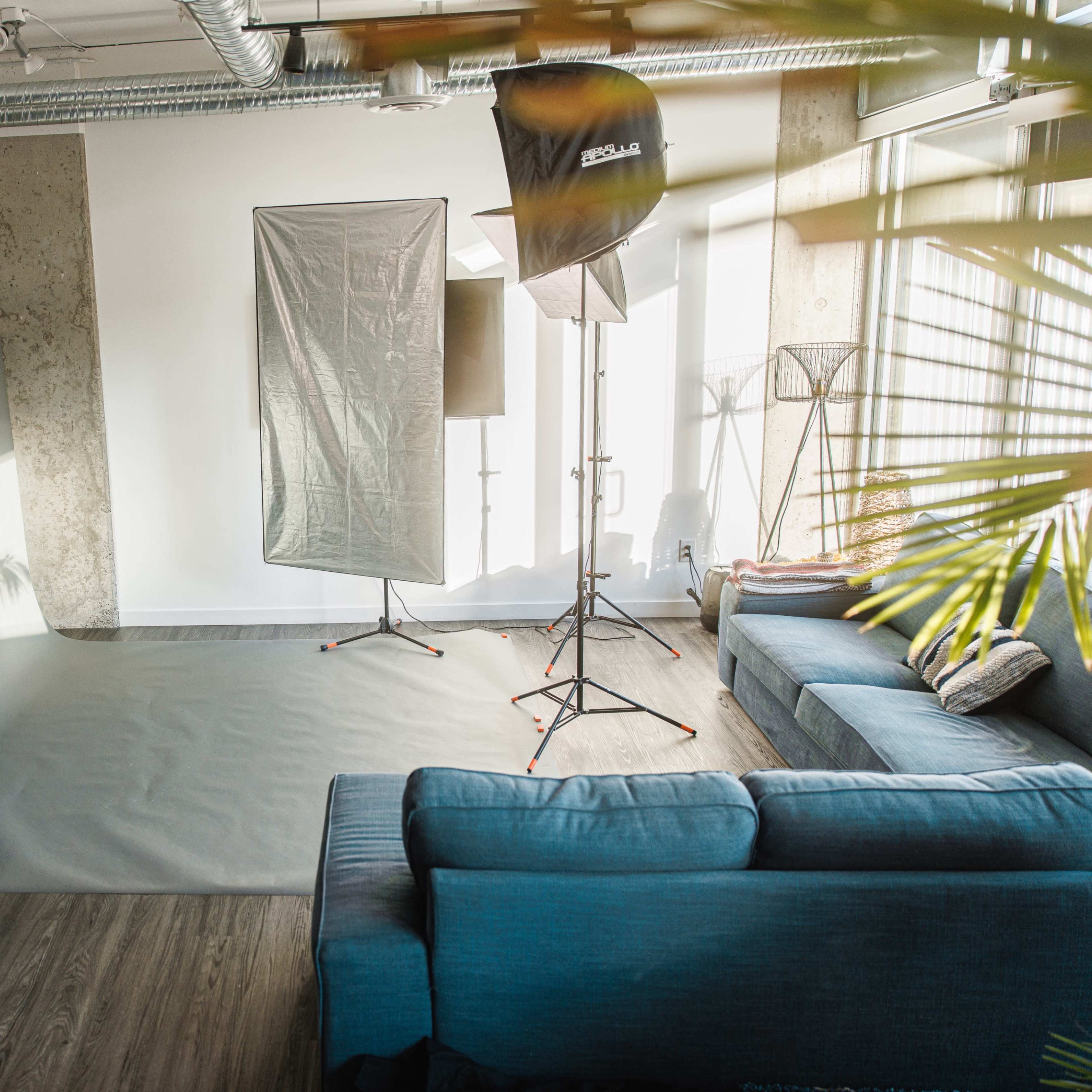 An indoor photography studio with softbox lights, a gray backdrop, and a couch in a well-lit room.