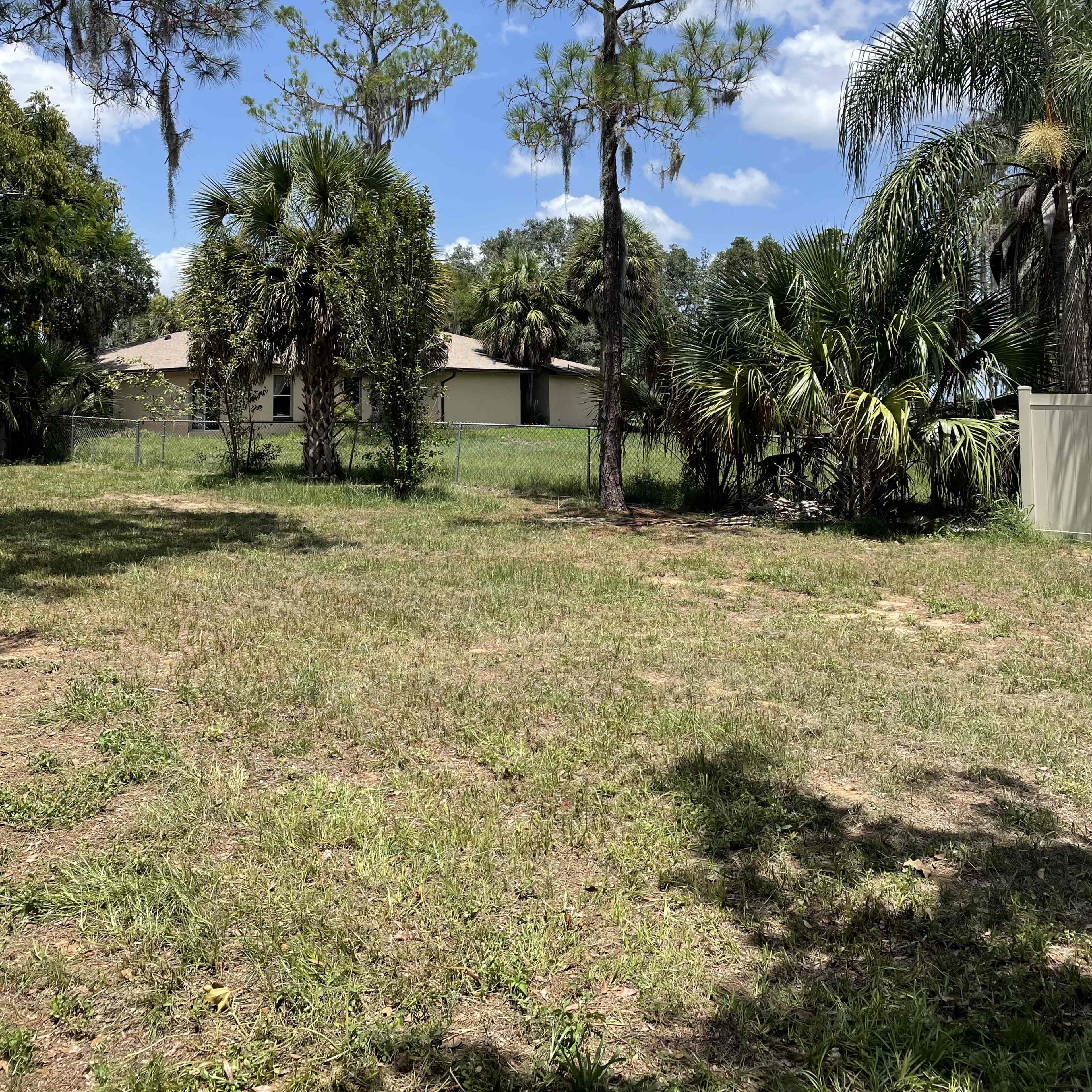 A grassy area with scattered trees and shrubs, leading to a house in the background under a blue sky.