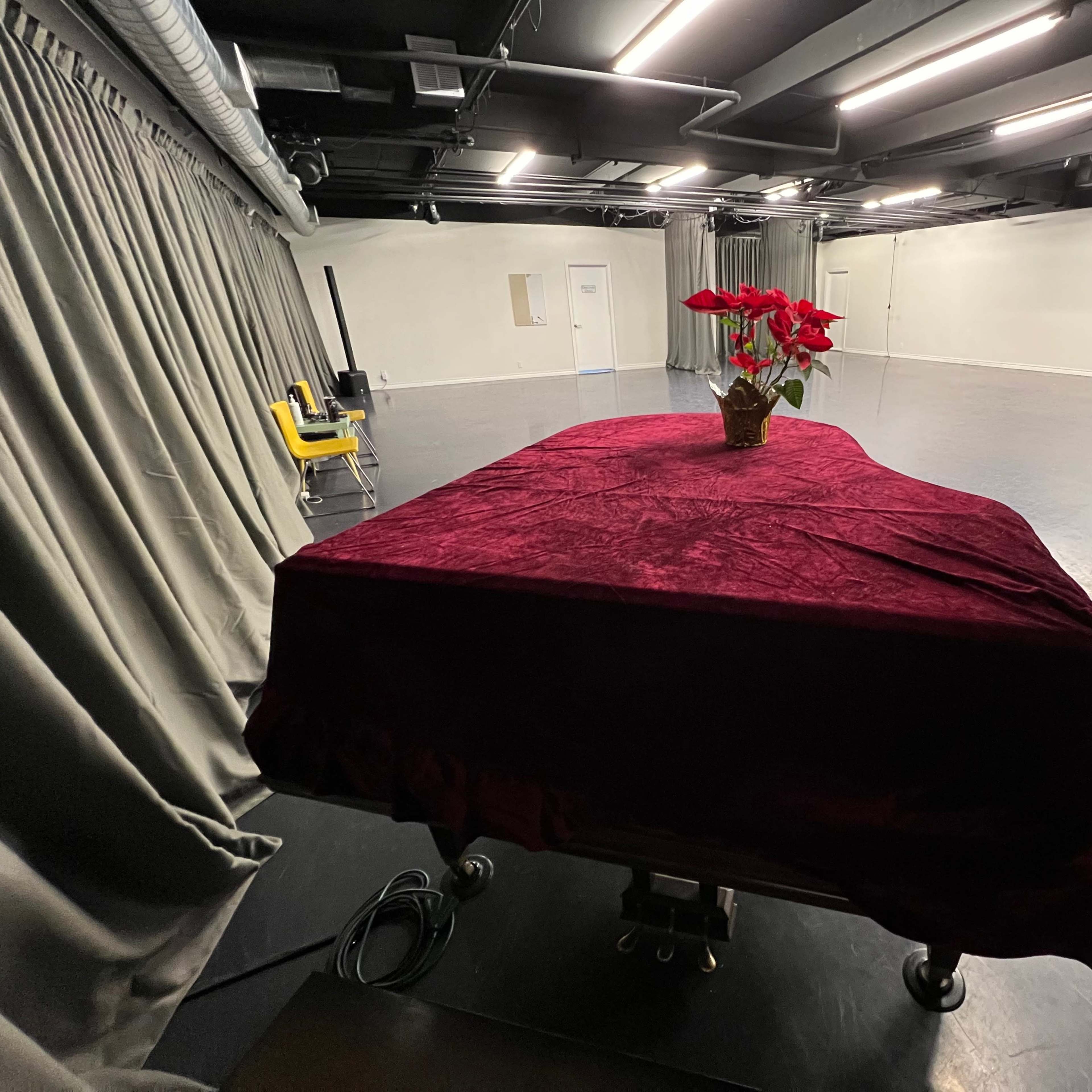 A velvet-draped table with a potted plant sits on a polished floor in an empty rehearsal space.