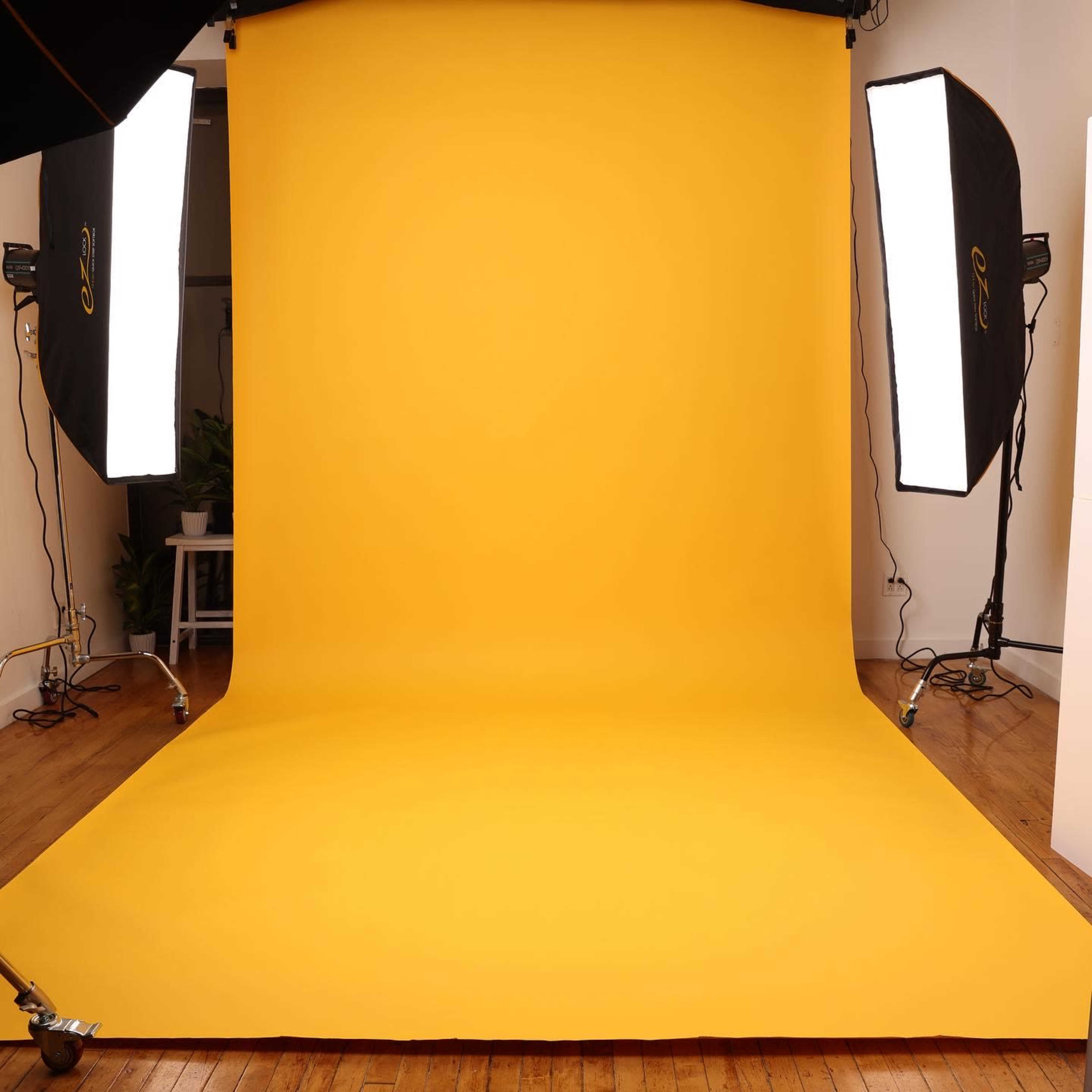 A photography studio with a smooth yellow backdrop and two softbox lights on either side.