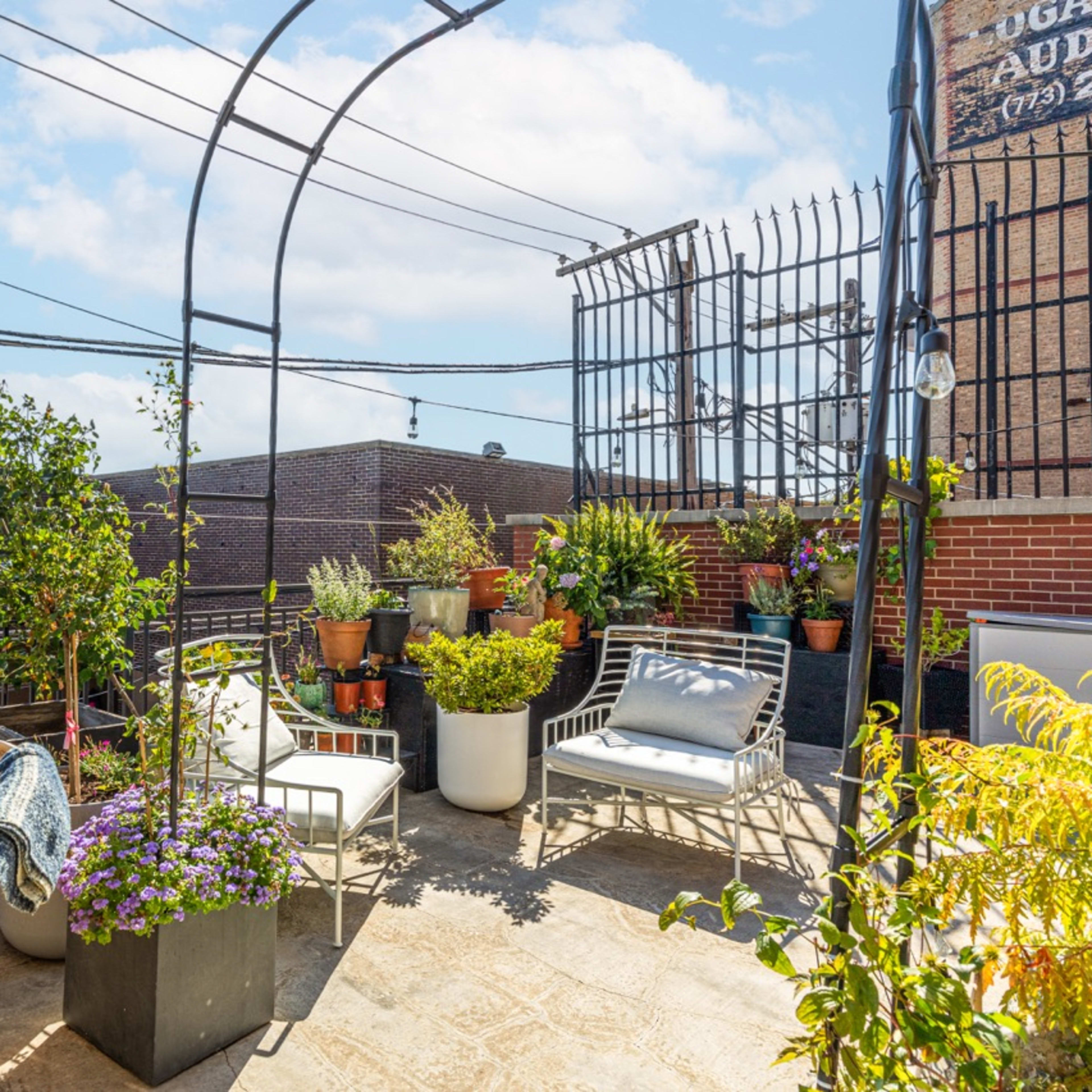A rooftop terrace features potted plants, outdoor seating, and a trellis under a clear blue sky.