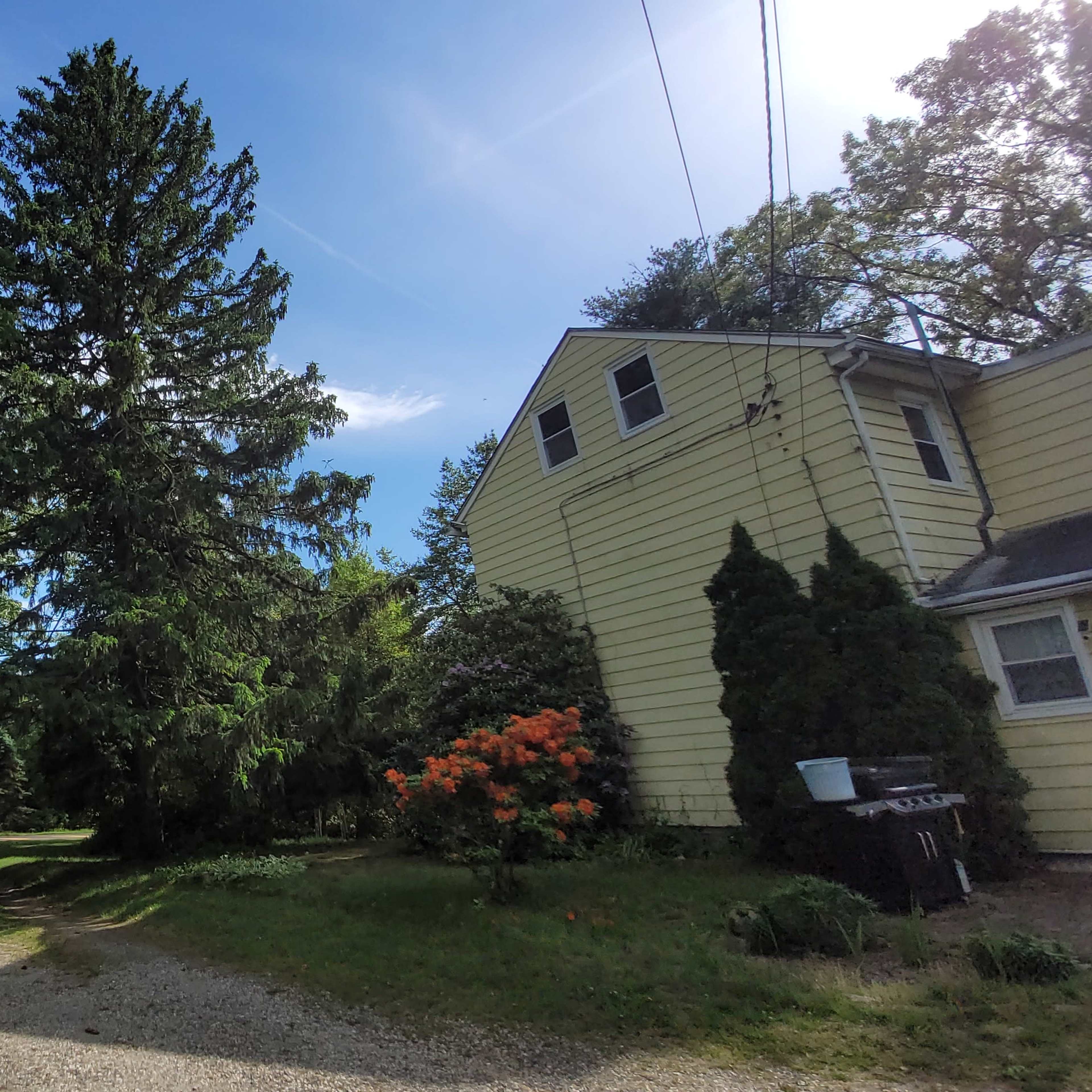 A gravel driveway leads between tall trees and a yellow house, with vibrant shrubbery and flowers on the side.