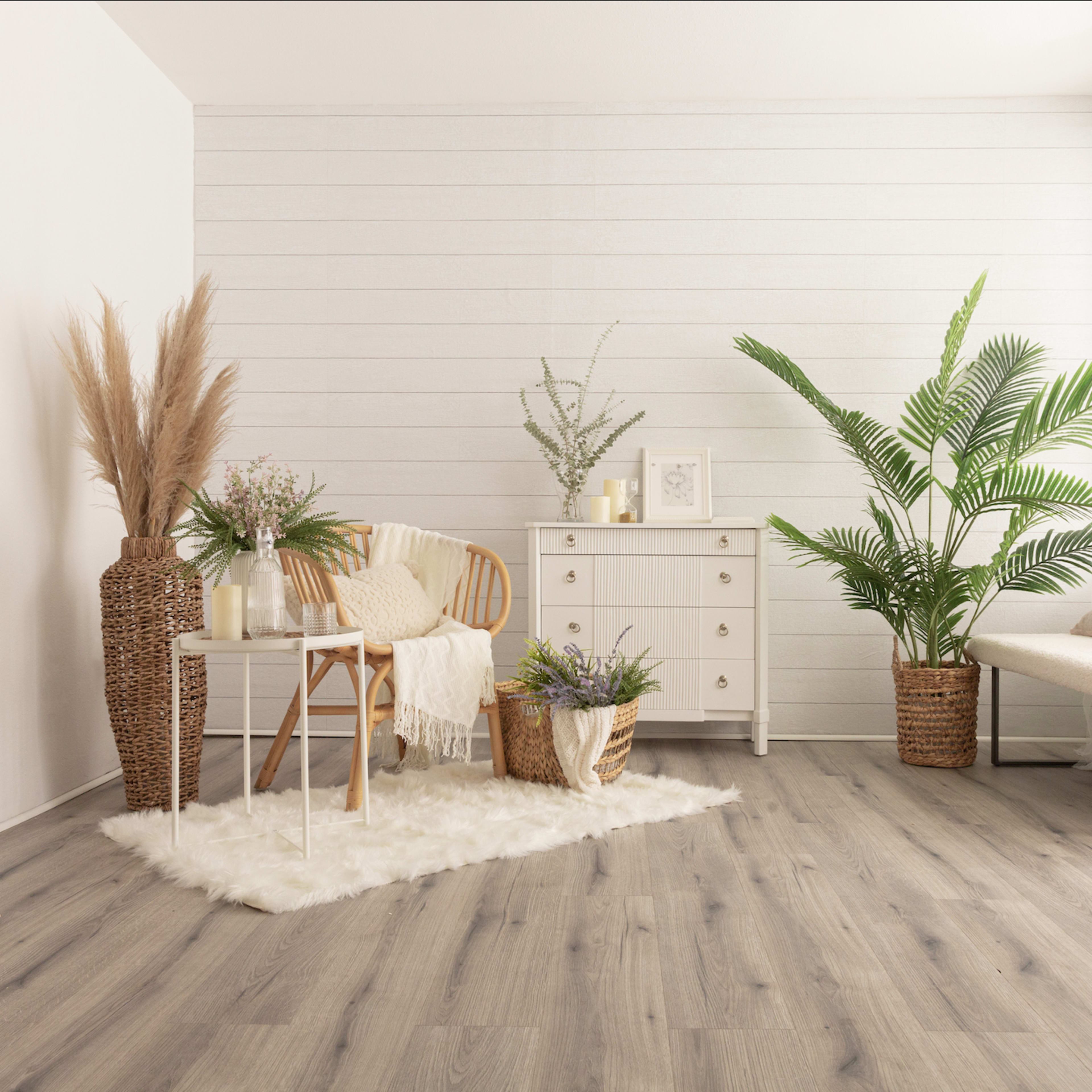 A bright, minimalistic living space featuring a wooden chair, a small white dresser, and various potted plants arranged around a soft area rug.