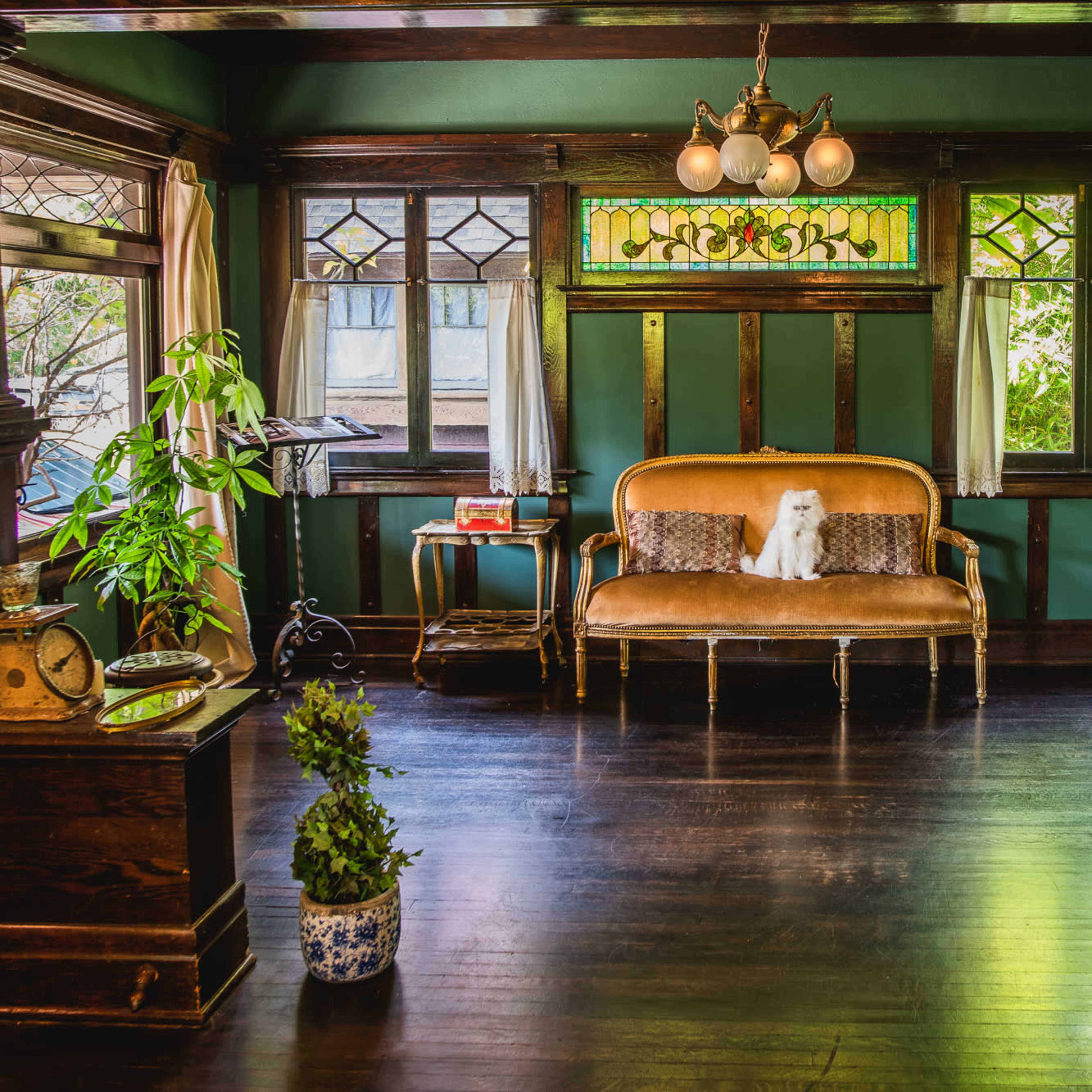 A cozy room features a vintage sofa with a small dog sitting on it, surrounded by decorative plants and antique furnishings.