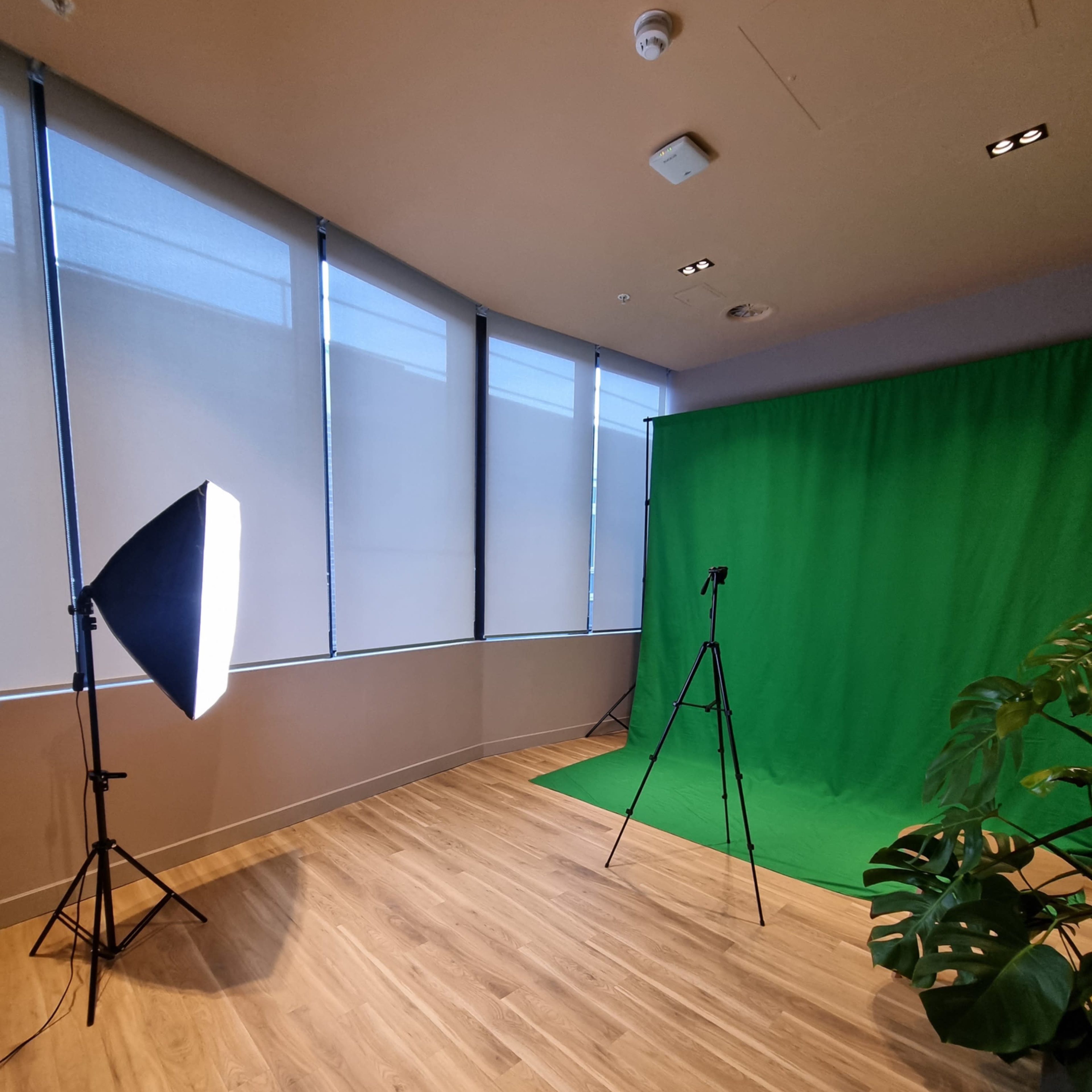 A studio setting with a green screen, lighting equipment, and large windows.