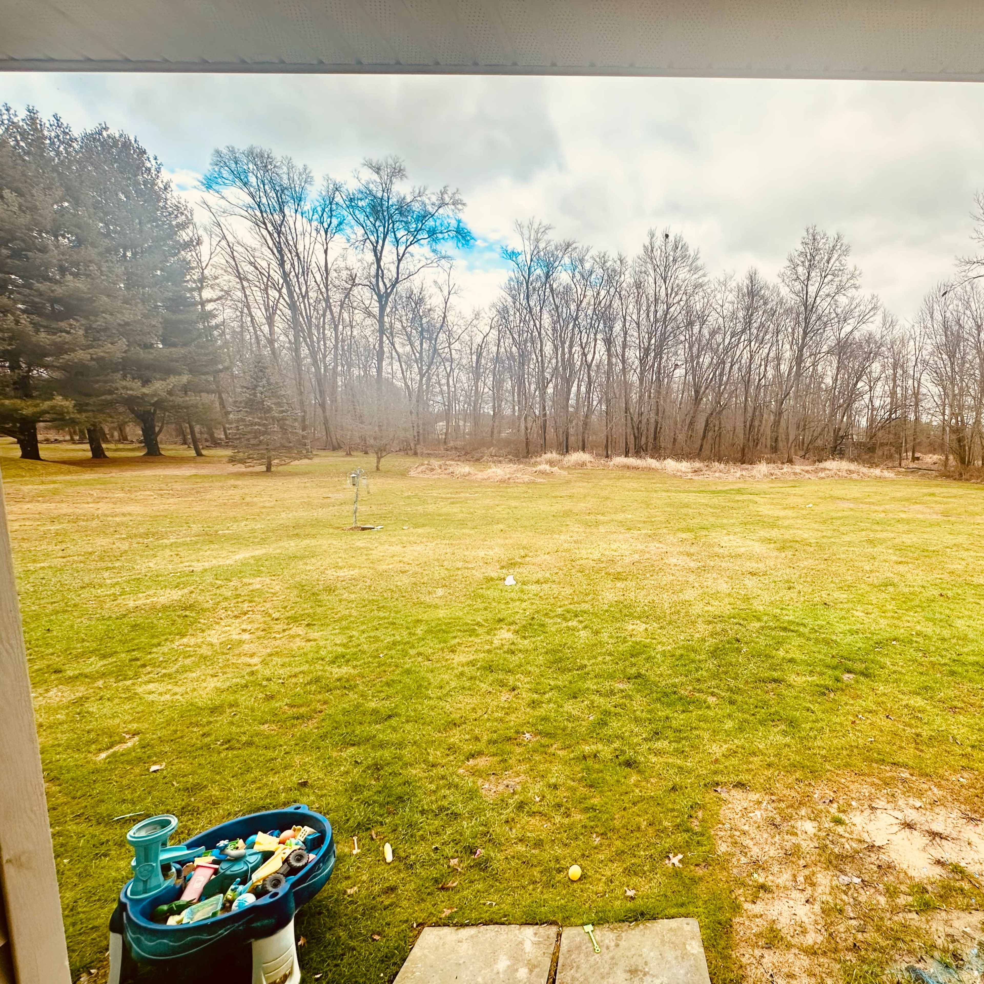 A large, grassy yard is bordered by a line of trees under a cloudy sky.