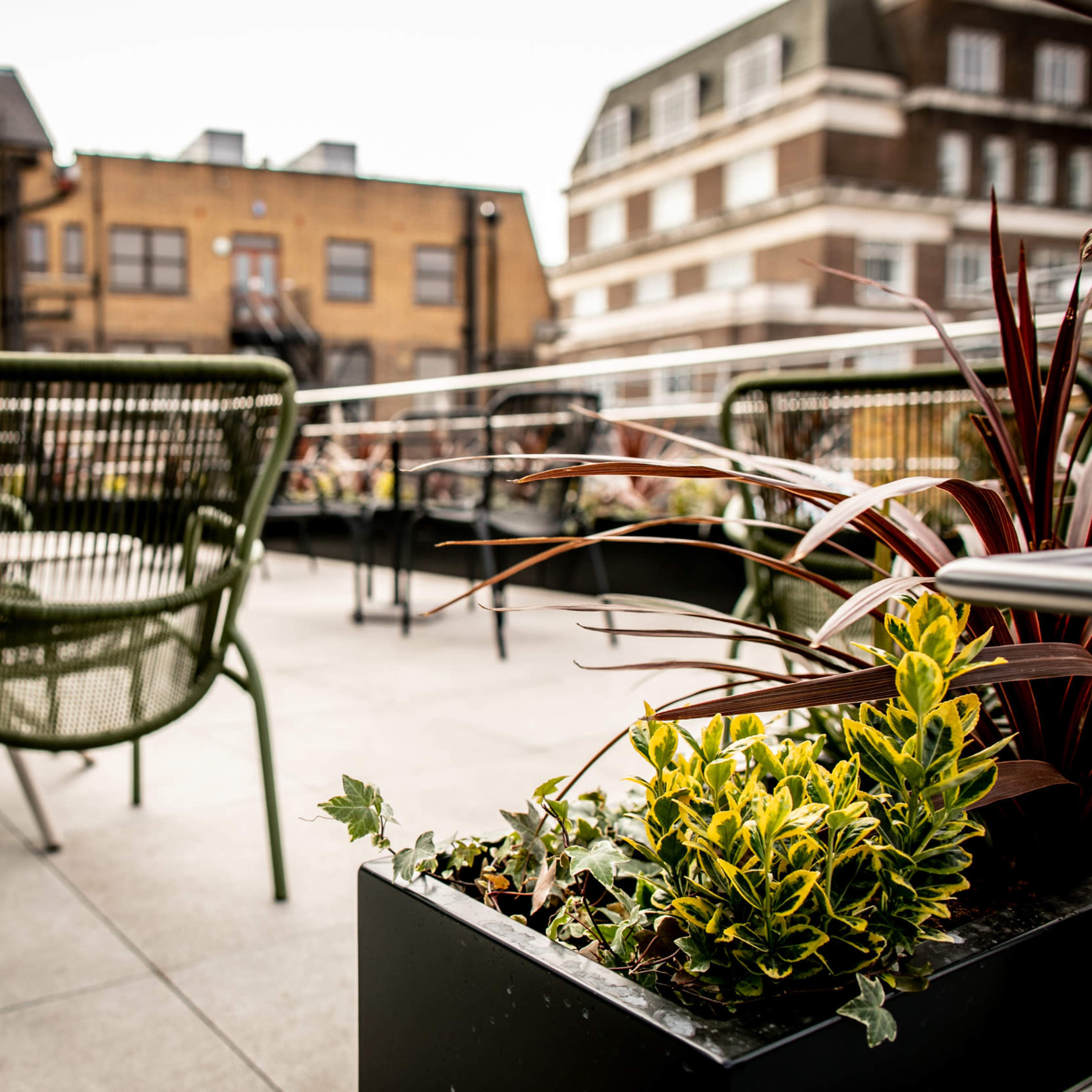 A rooftop terrace with green chairs and potted plants set against a backdrop of buildings.