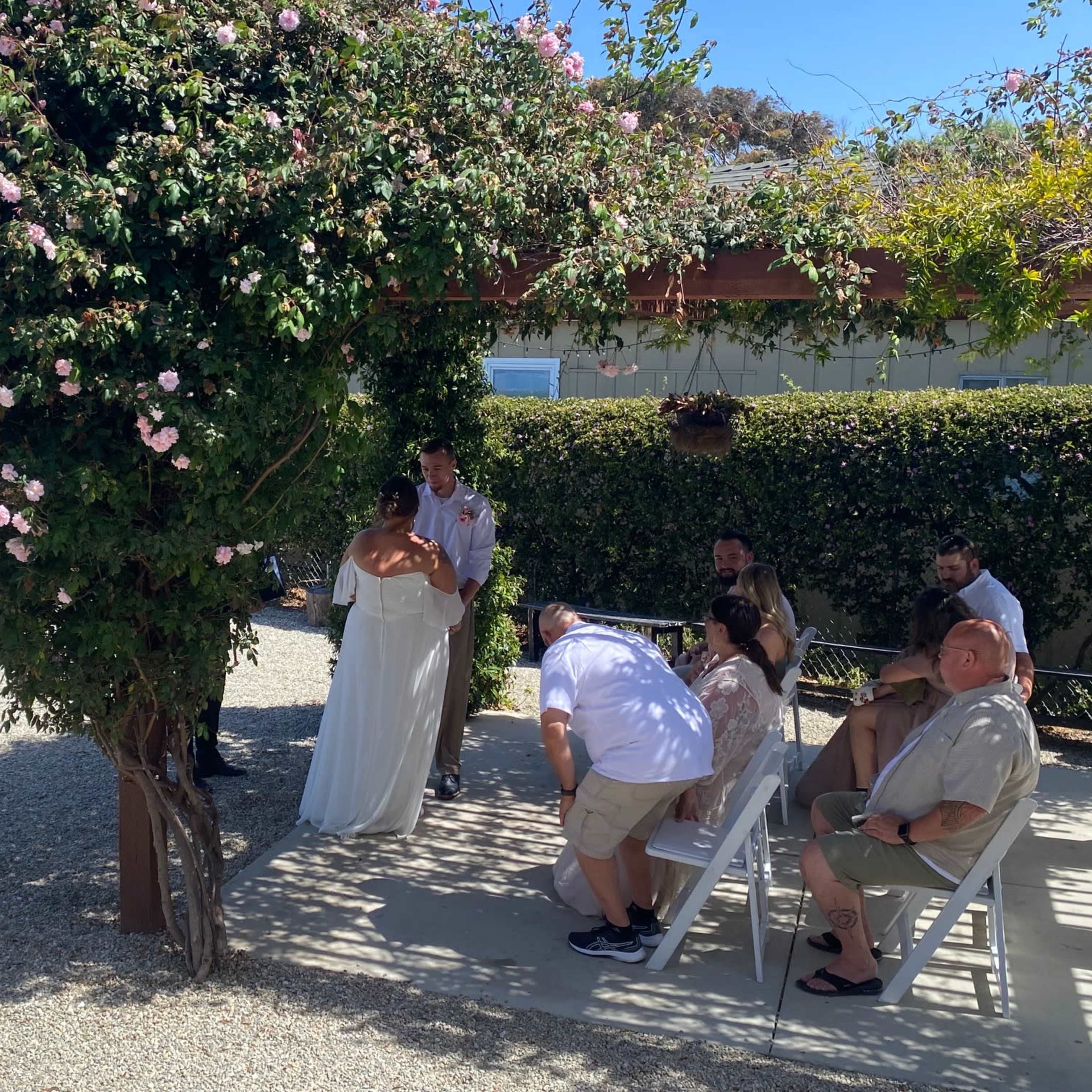 A couple stands under a flowering tree while exchanging vows at an outdoor wedding ceremony by the ocean.