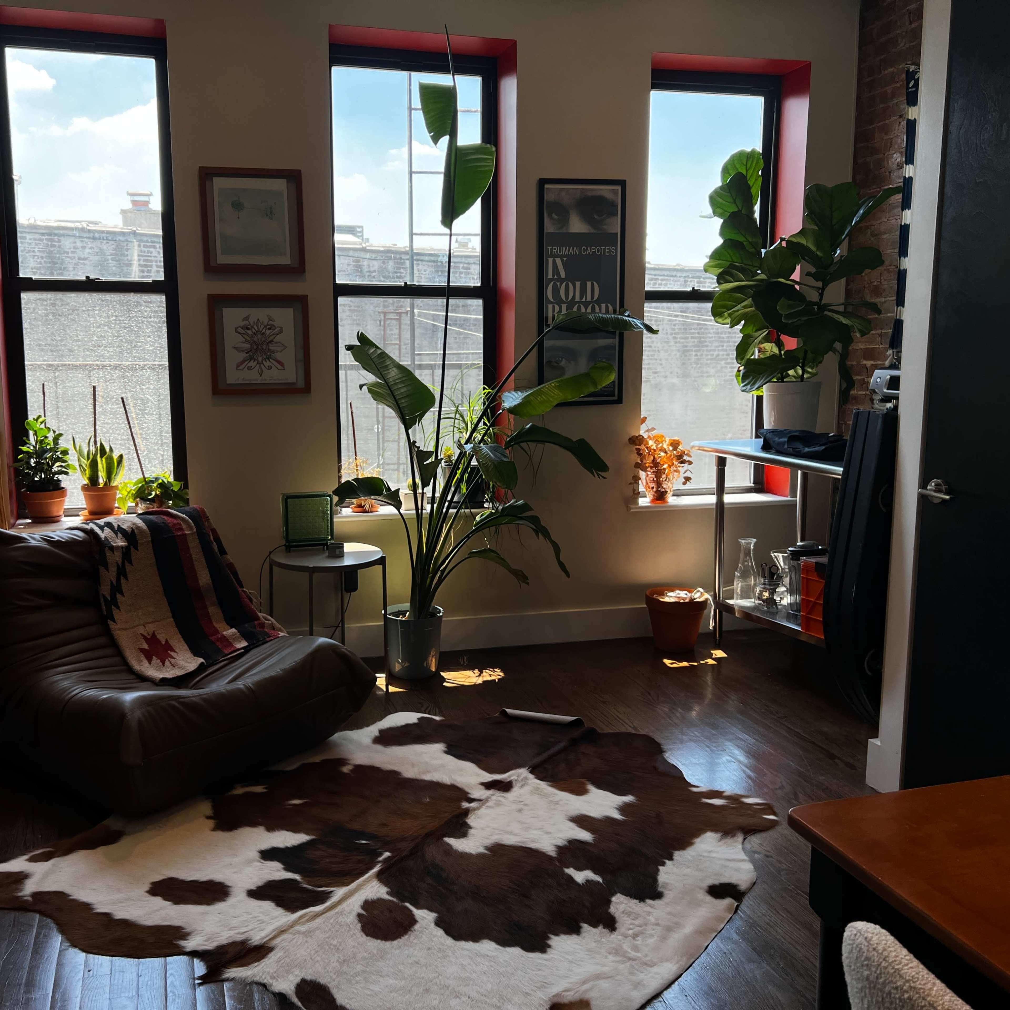 The scene shows a cozy living space with a brown leather chair, a cowhide rug, and several potted plants near windows with red trim.