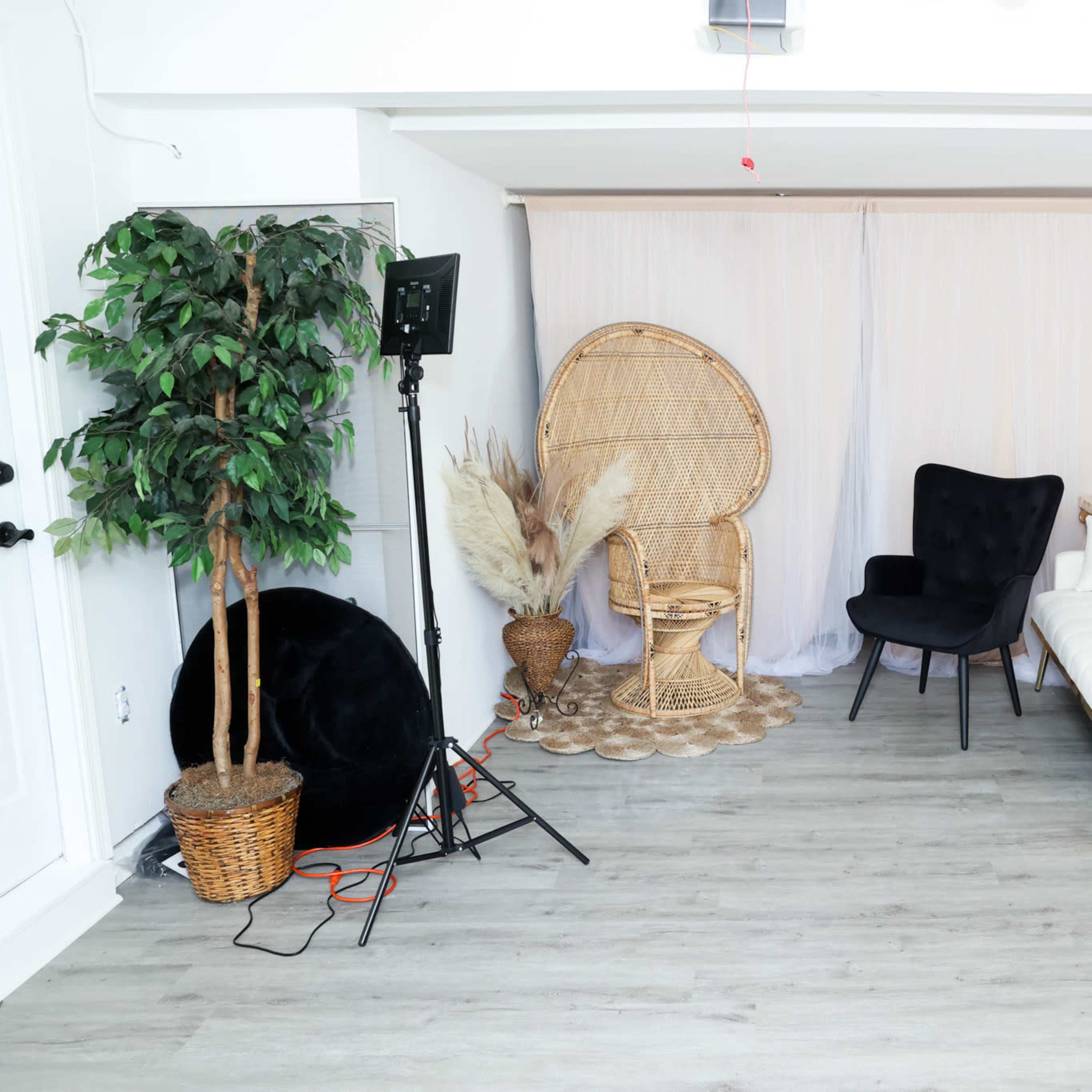 A styled interior space featuring a rattan chair, a black armchair, a white couch, potted plants, and colorful backdrops arranged along the walls.