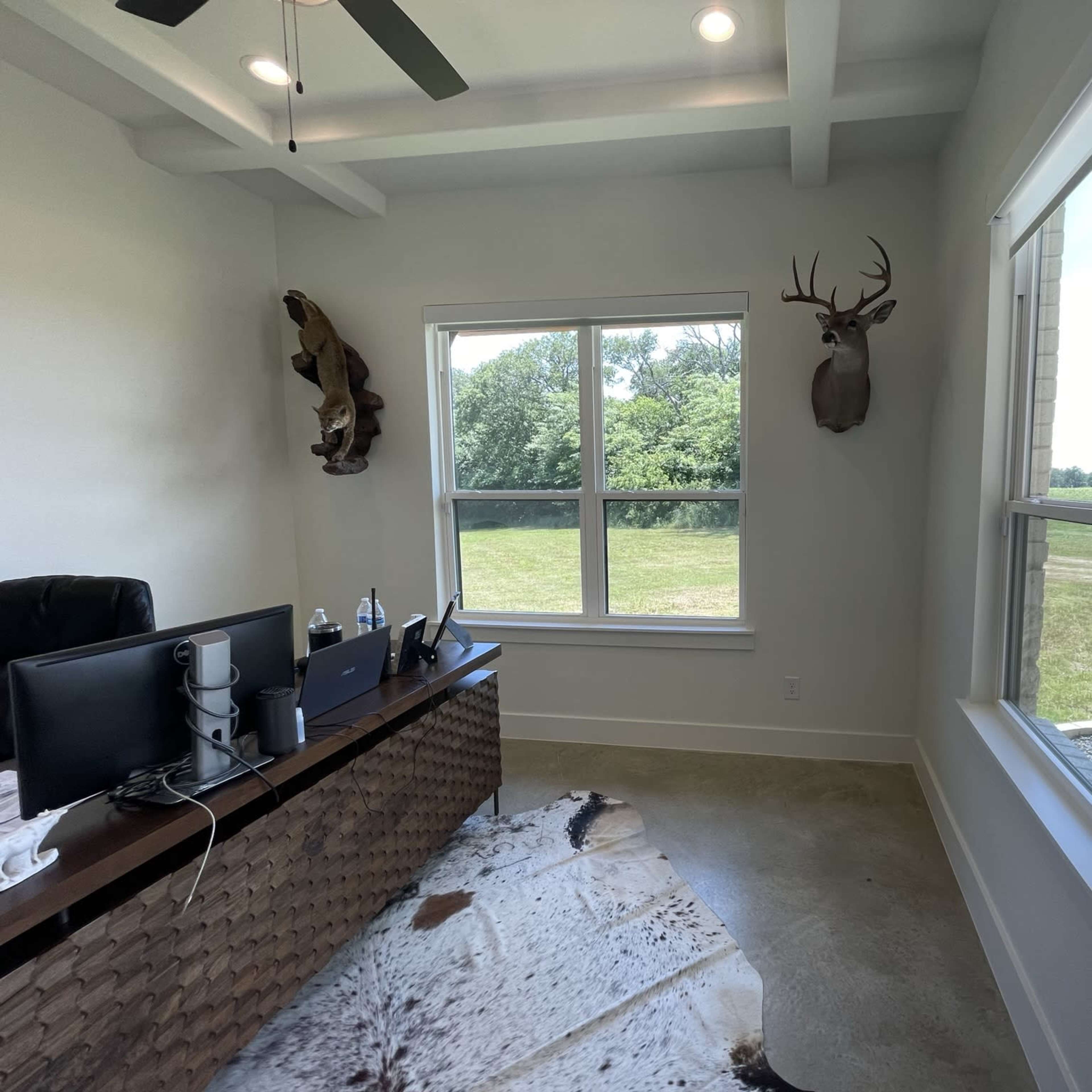 A bright office space featuring a large window with a view of a grassy area, a desk with two computer monitors, and mounted decorations including a deer head and a bear skin on the walls.