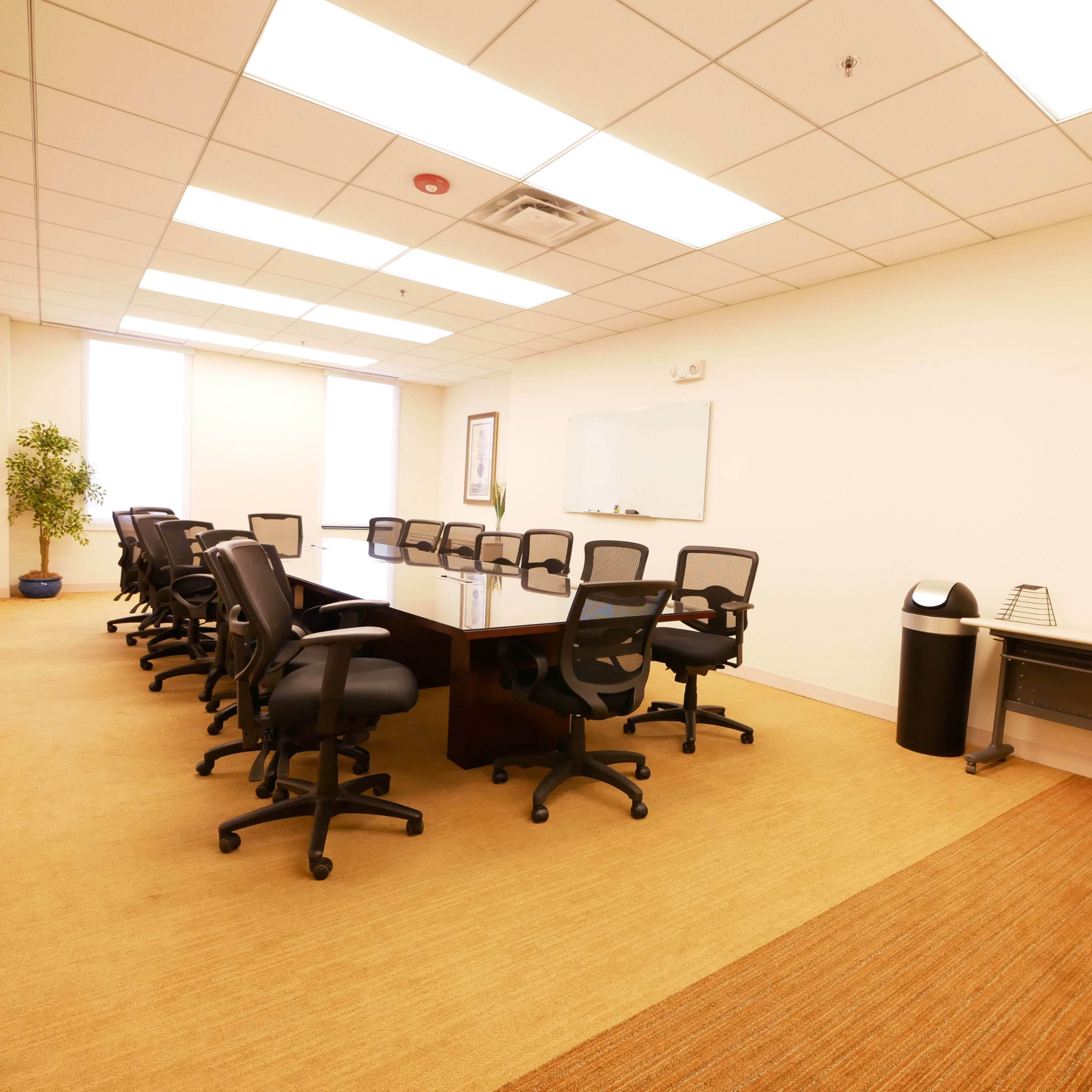 A conference room with a large table surrounded by black chairs, featuring a whiteboard and a potted plant near the windows.