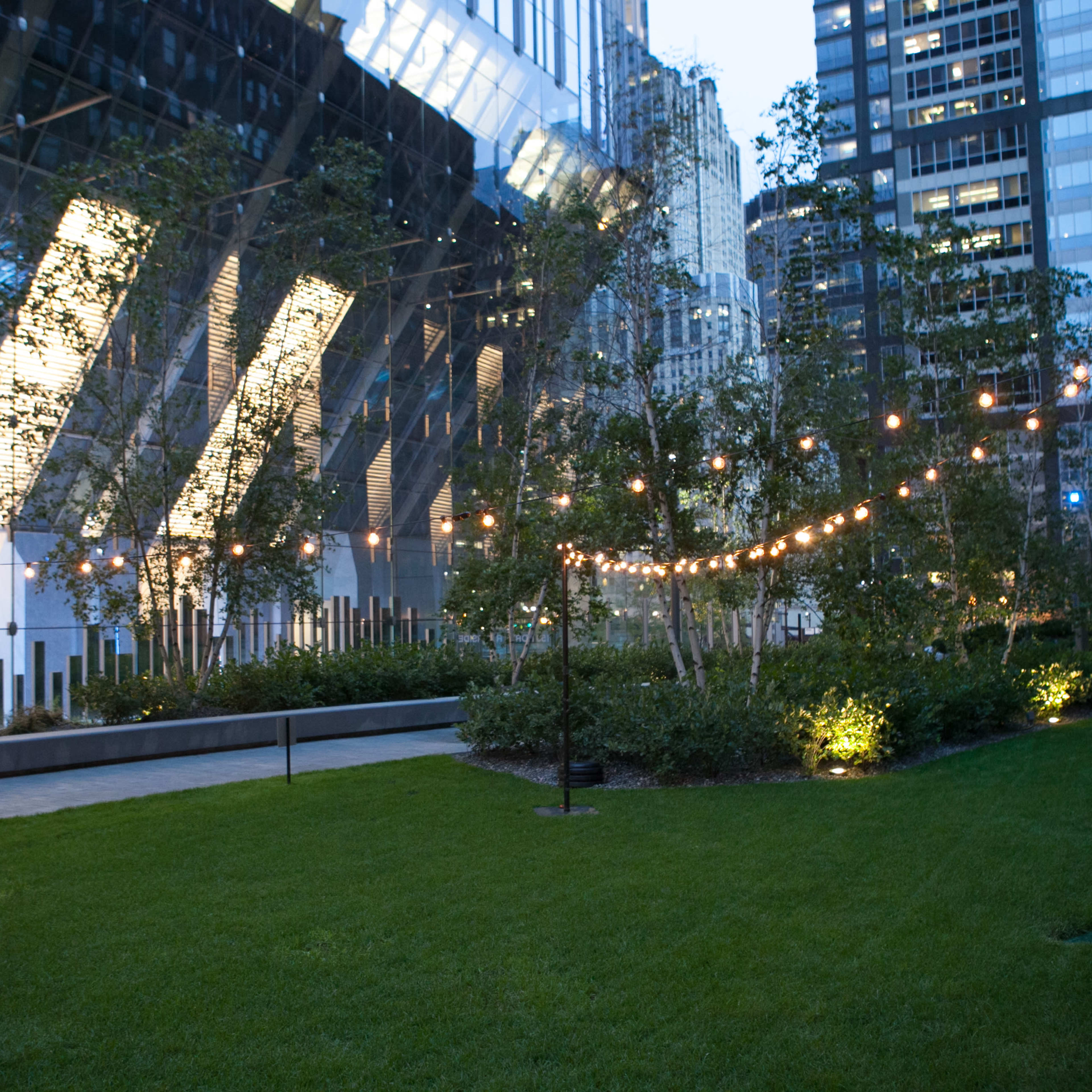 A landscaped area features a lawn with string lights overhead and modern buildings reflecting in the background.