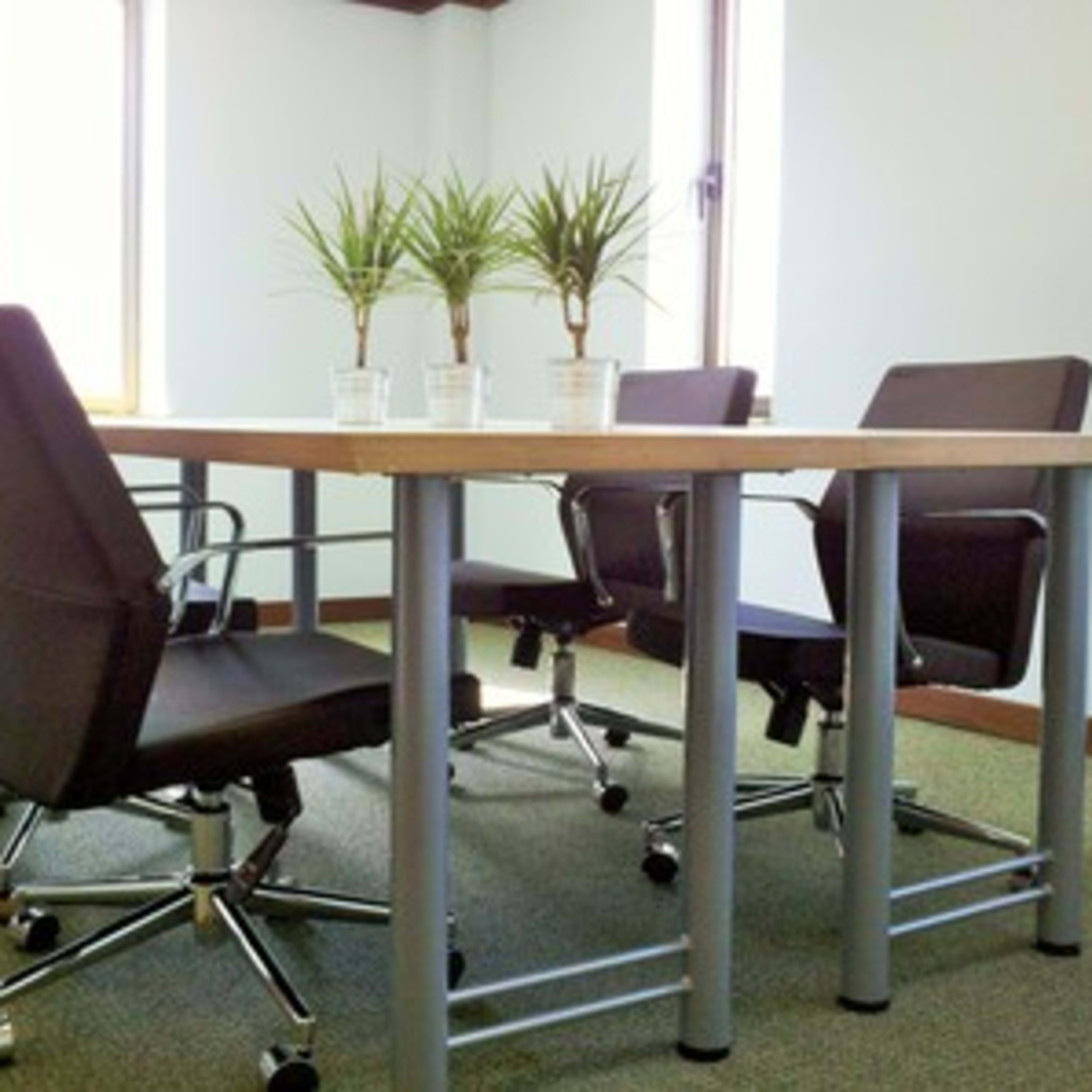 A modern conference room features a table surrounded by four rolling chairs and two small potted plants on the table.