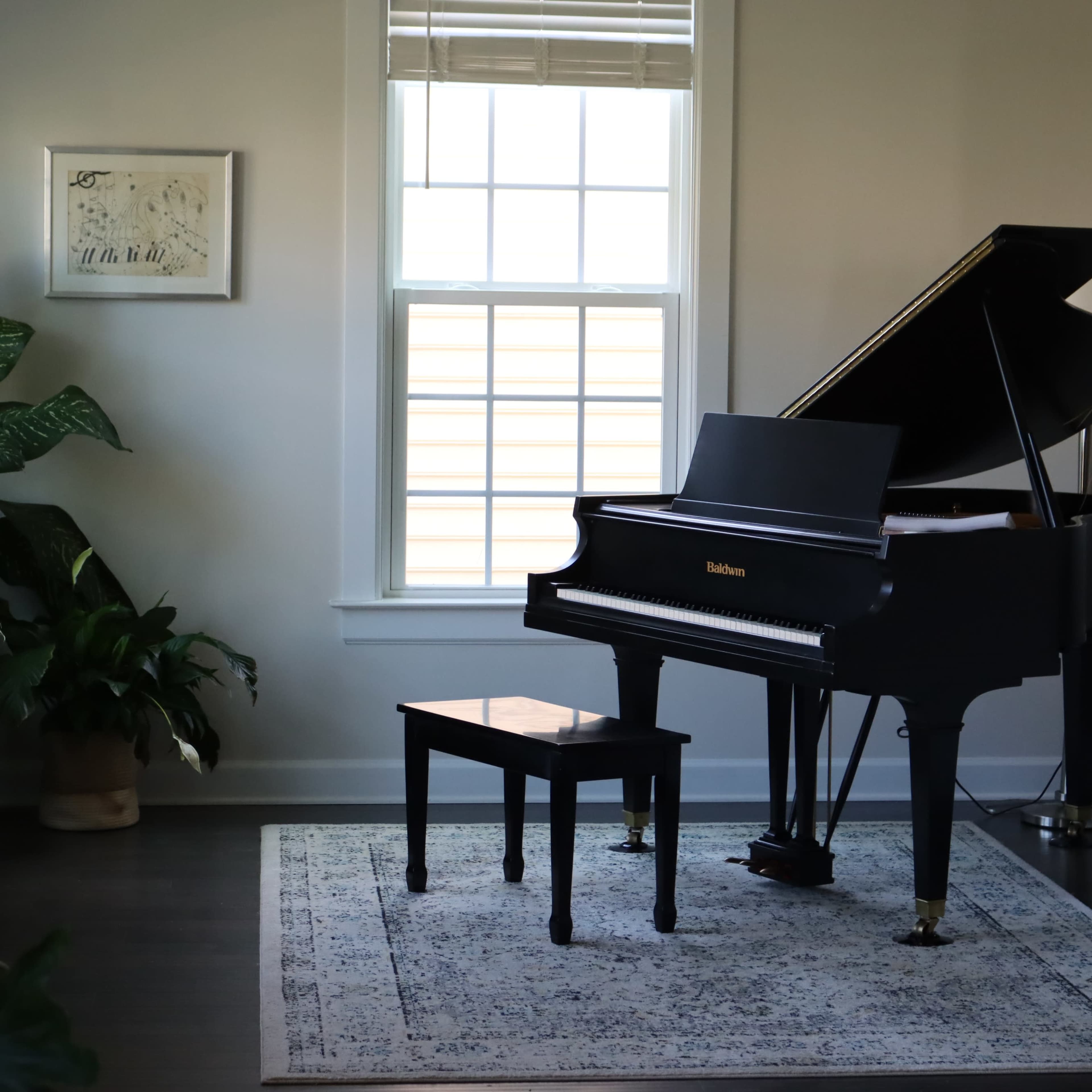 A black grand piano with a matching bench is positioned beside a window in a well-lit room, surrounded by indoor plants and a decorative rug.