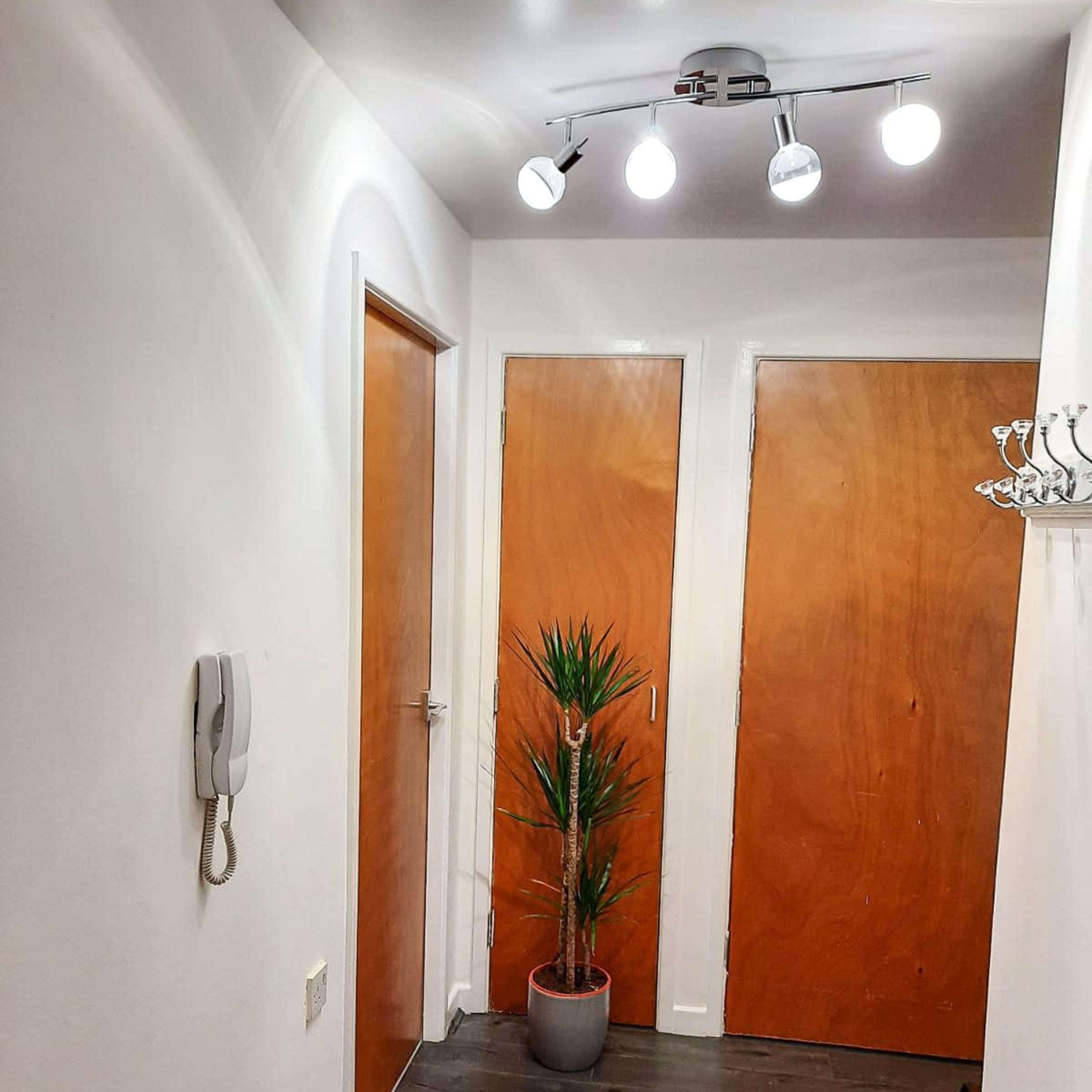 A narrow hallway with two wooden doors, a potted plant in the corner, and overhead lighting.