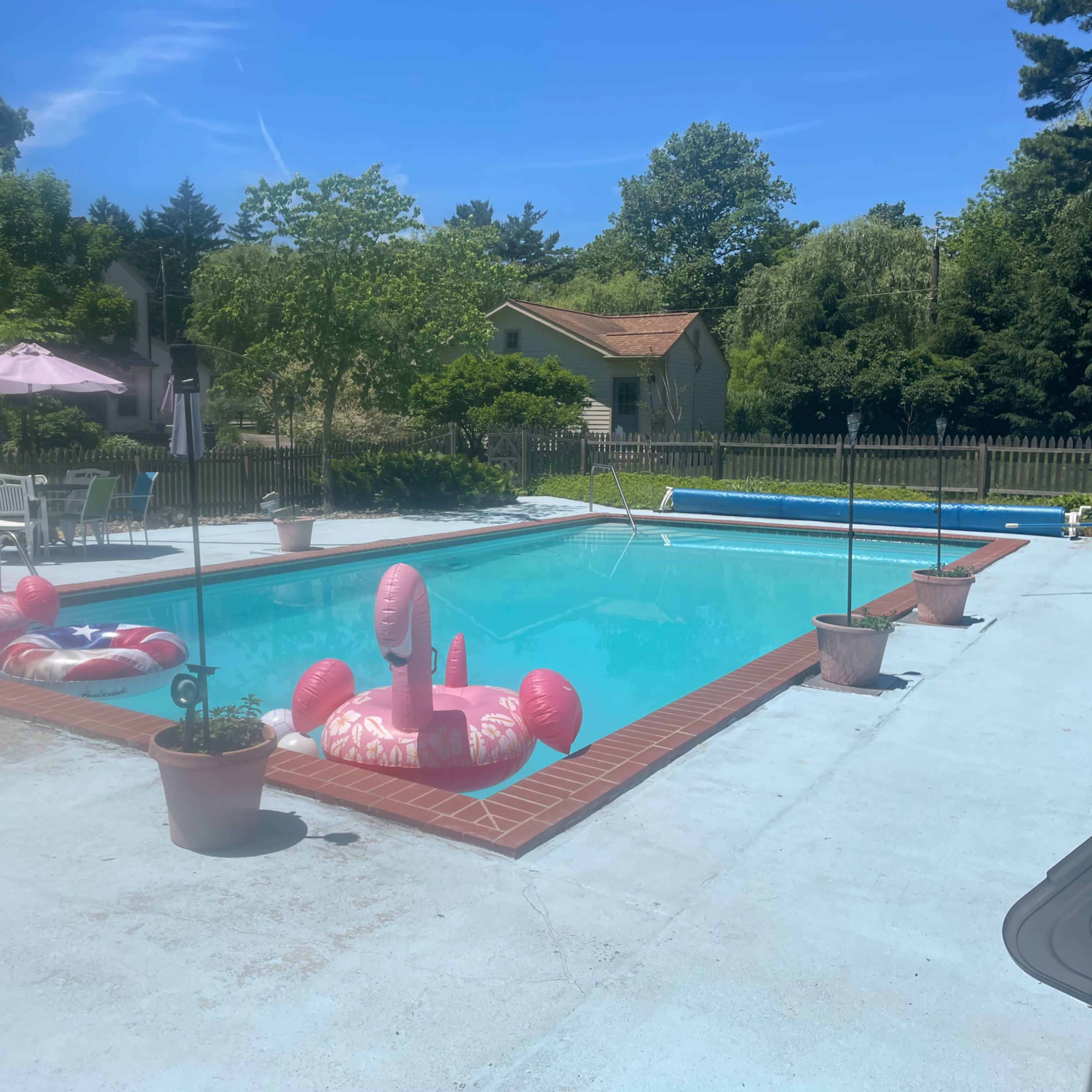 A swimming pool surrounded by pink inflatable flamingo floats, patio chairs, and potted plants, set in a green backyard.