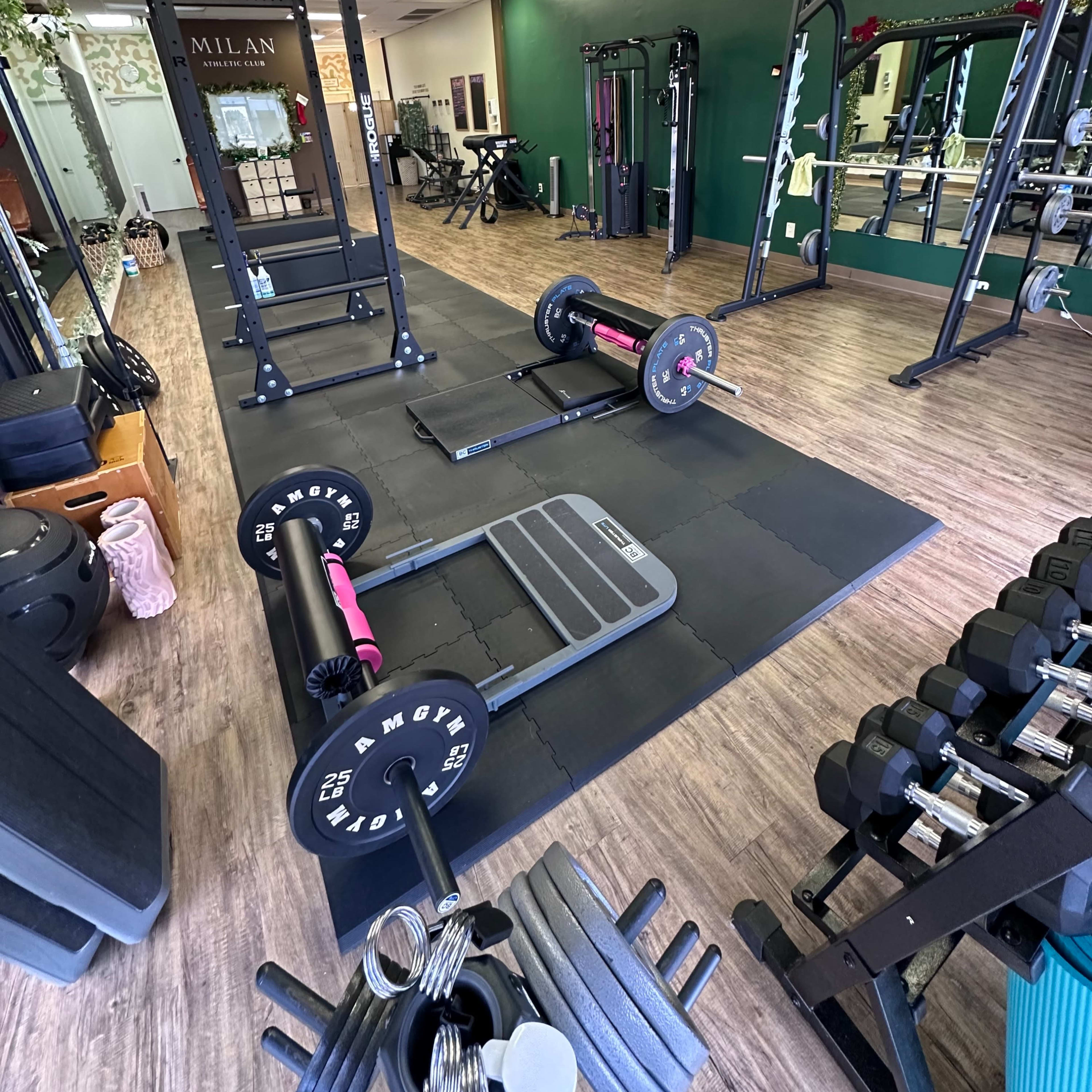 The gym features a variety of weightlifting equipment, including barbells, weight plates, and a squat rack, arranged on a rubberized flooring.