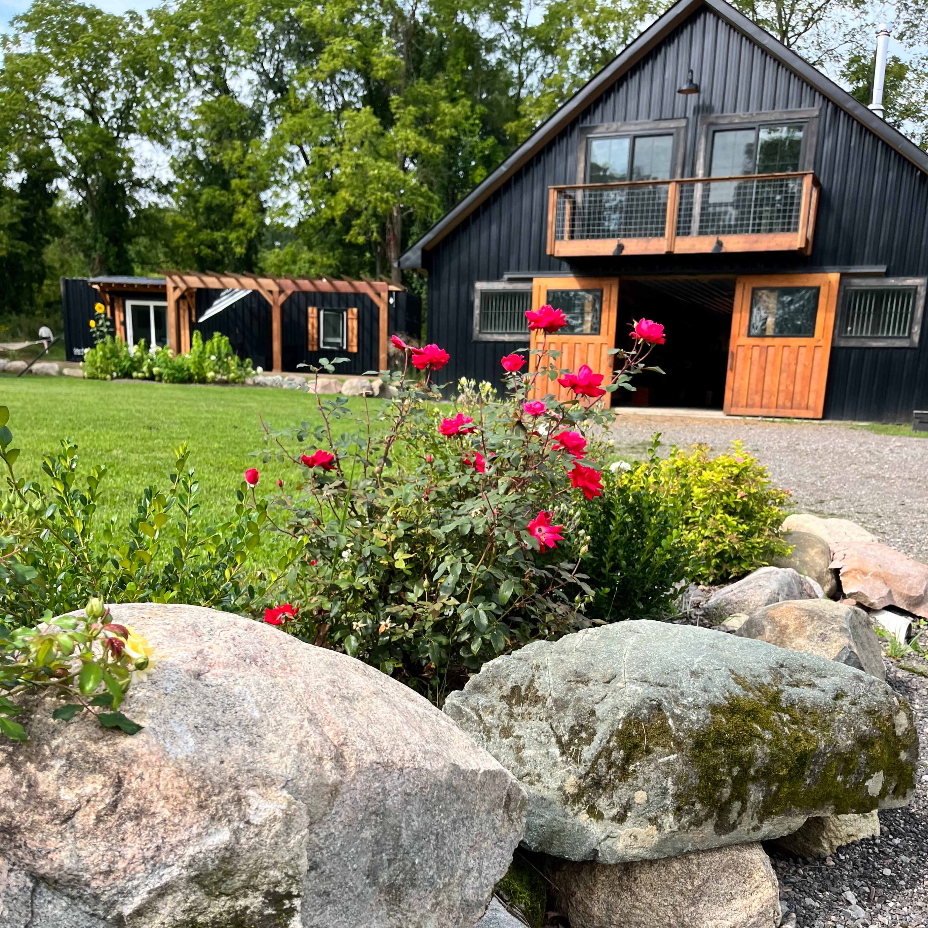 A black wooden house with large windows and a wooden balcony stands behind a garden featuring blooming rose bushes and large rocks.