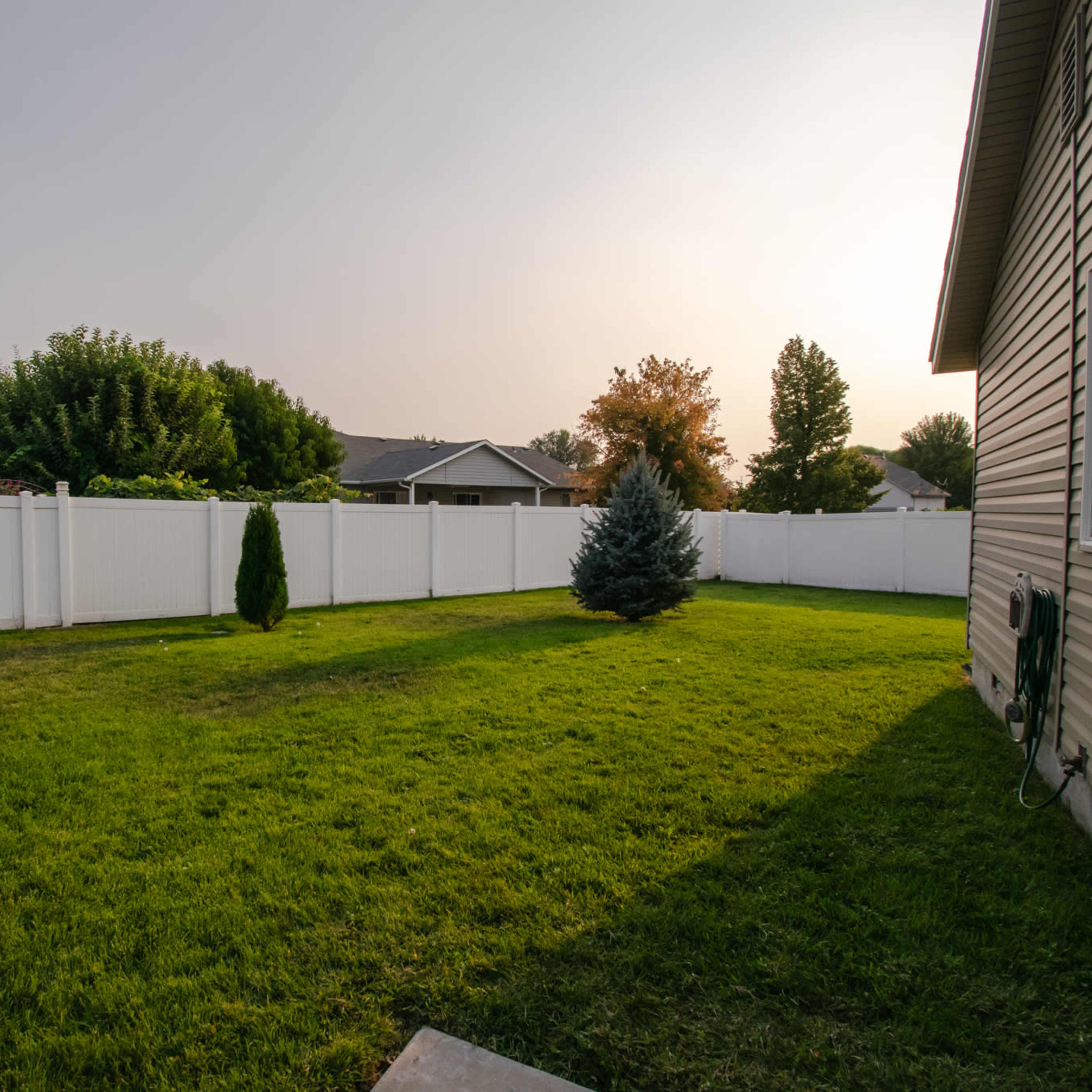A backyard features a manicured lawn bordered by a white picket fence, with a few trees and a house on one side.