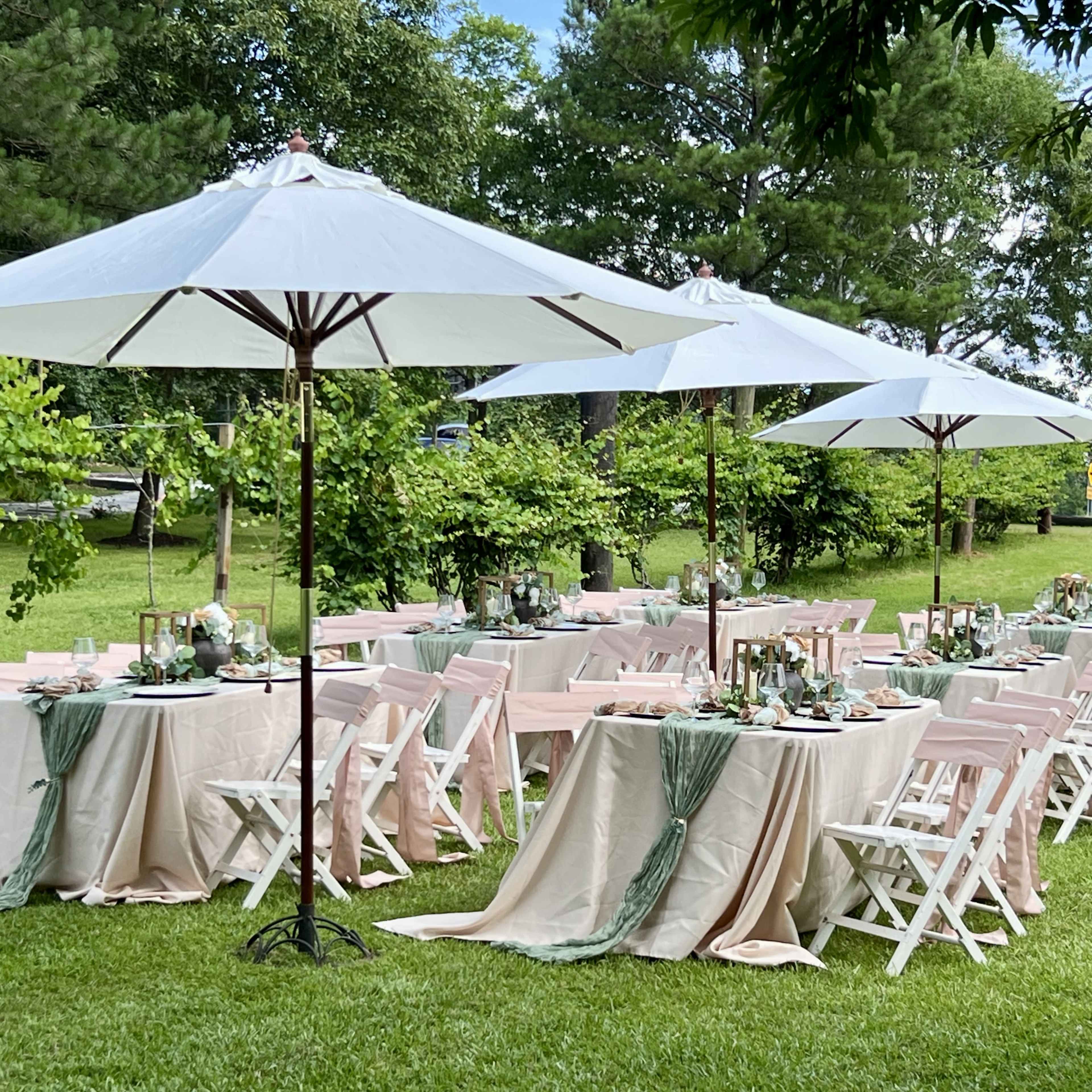 Norwood Vineyard & Gardens Image in , Jonesboro, GA