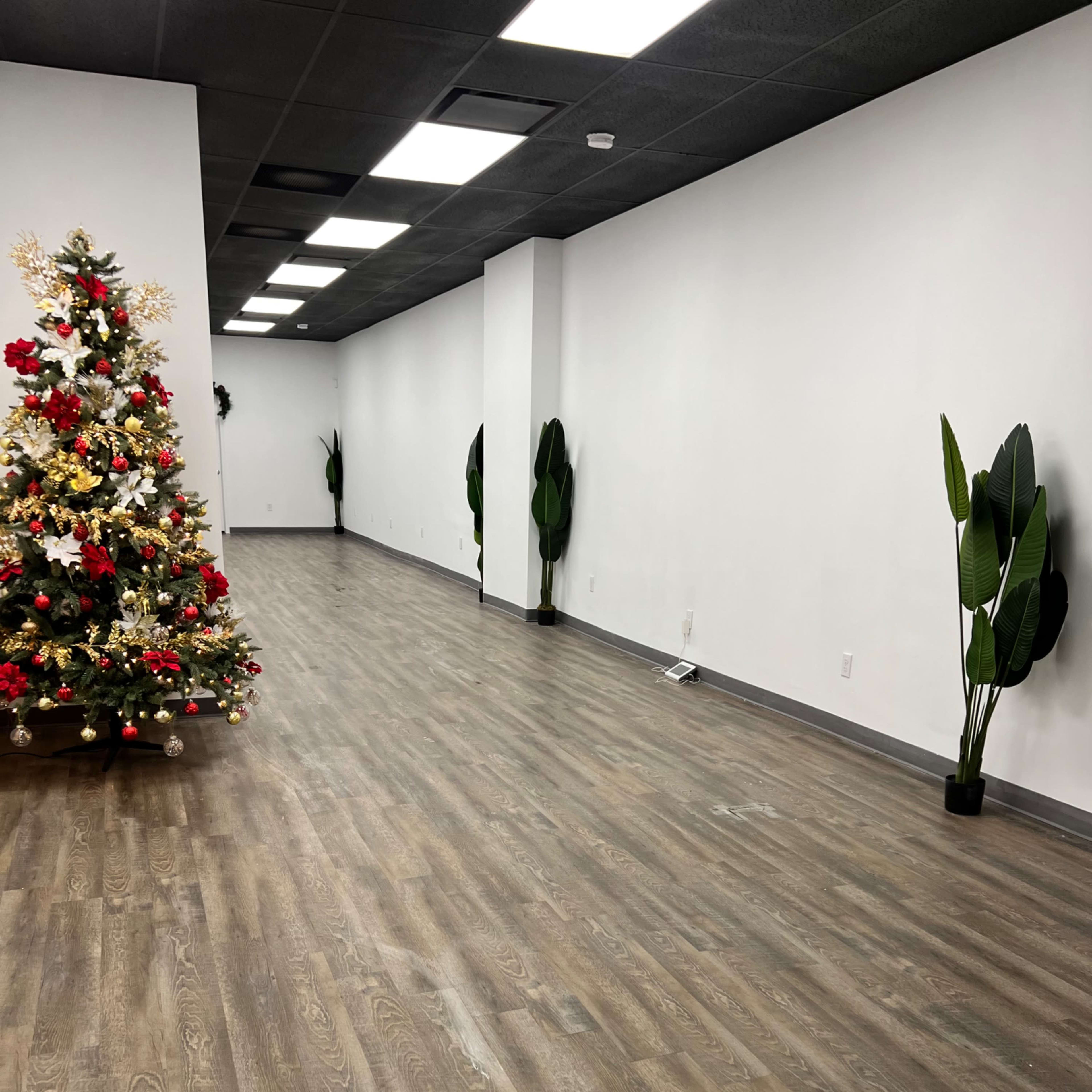 A spacious indoor area with a wooden floor, decorated with a Christmas tree on the left and tall potted plants along the walls.