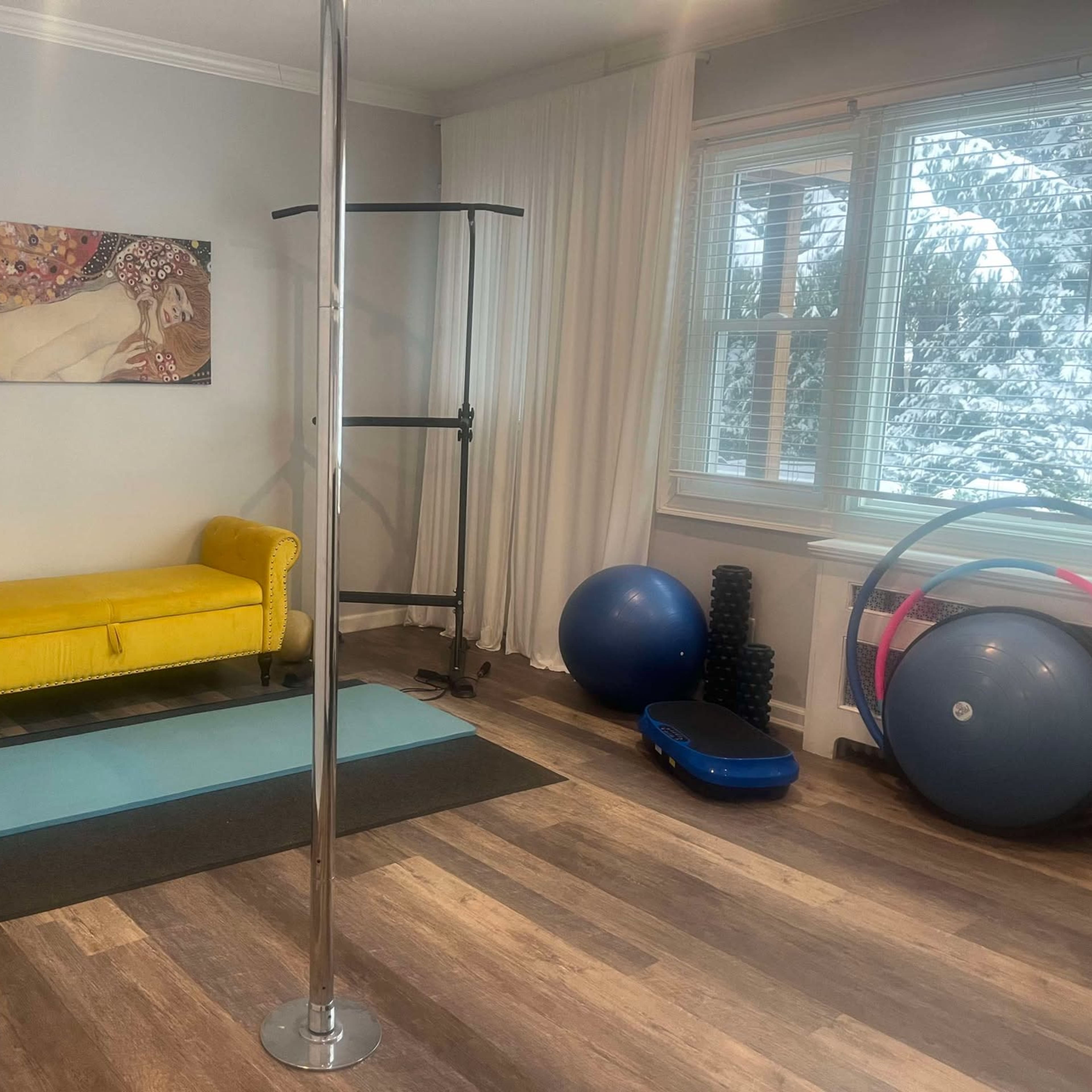 Home Gym with Stripper Pole Unique GymSpace & Dance Ariel Fitness Studio Space Image in Islip, Ronkonkoma, NY