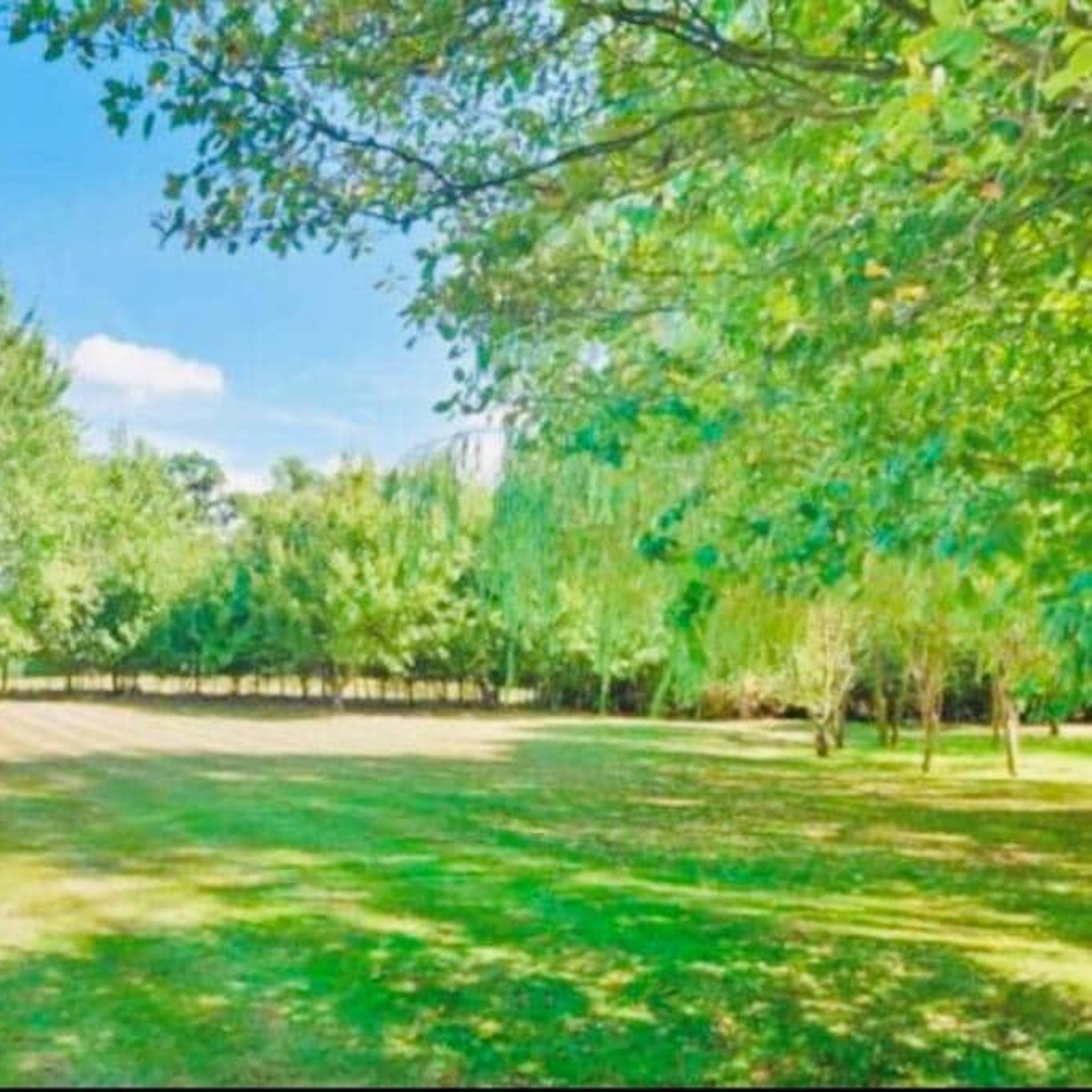 A wide grassy area is flanked by trees under a clear blue sky.