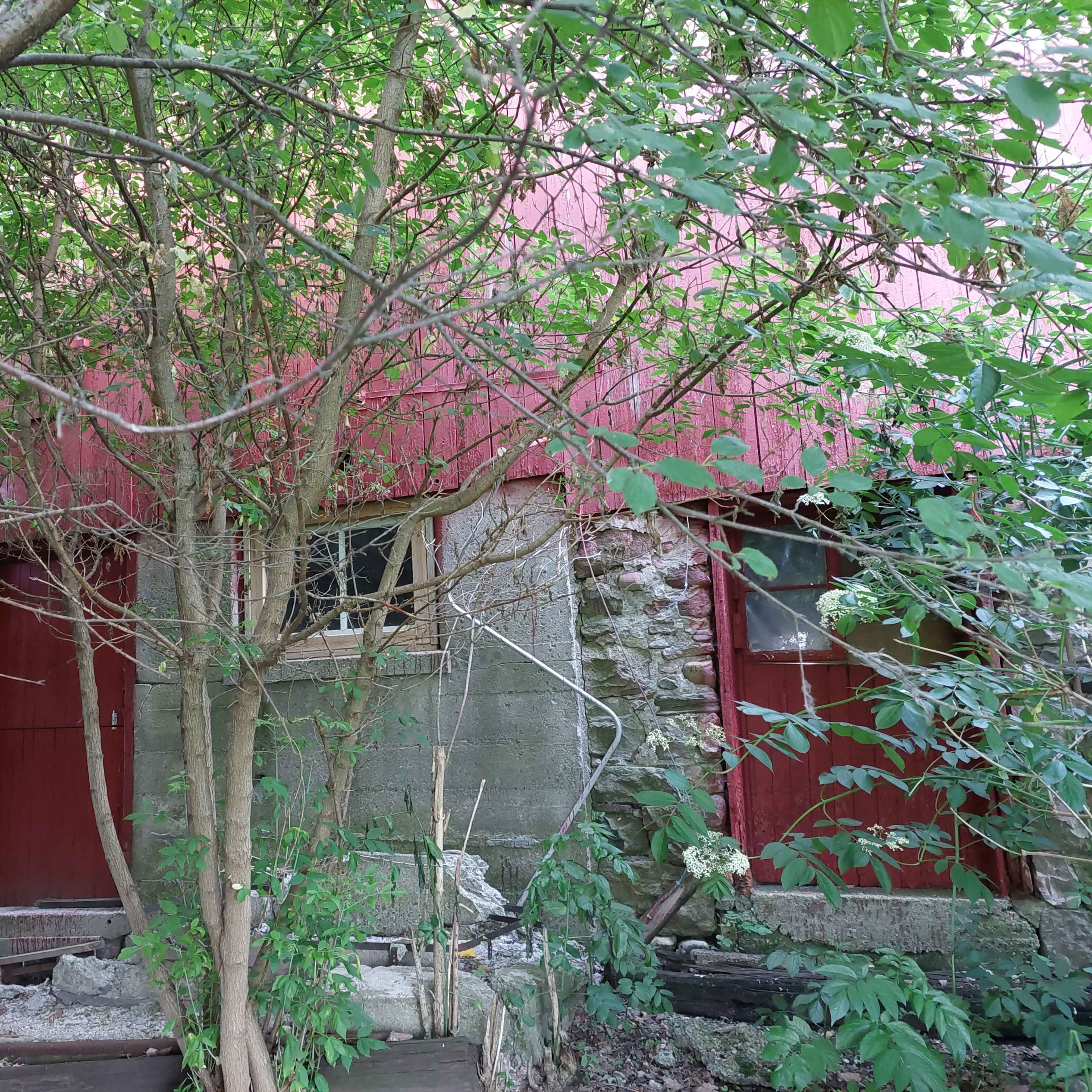 An overgrown area featuring a weathered building with a red roof and two doors, partially obscured by trees and bushes.