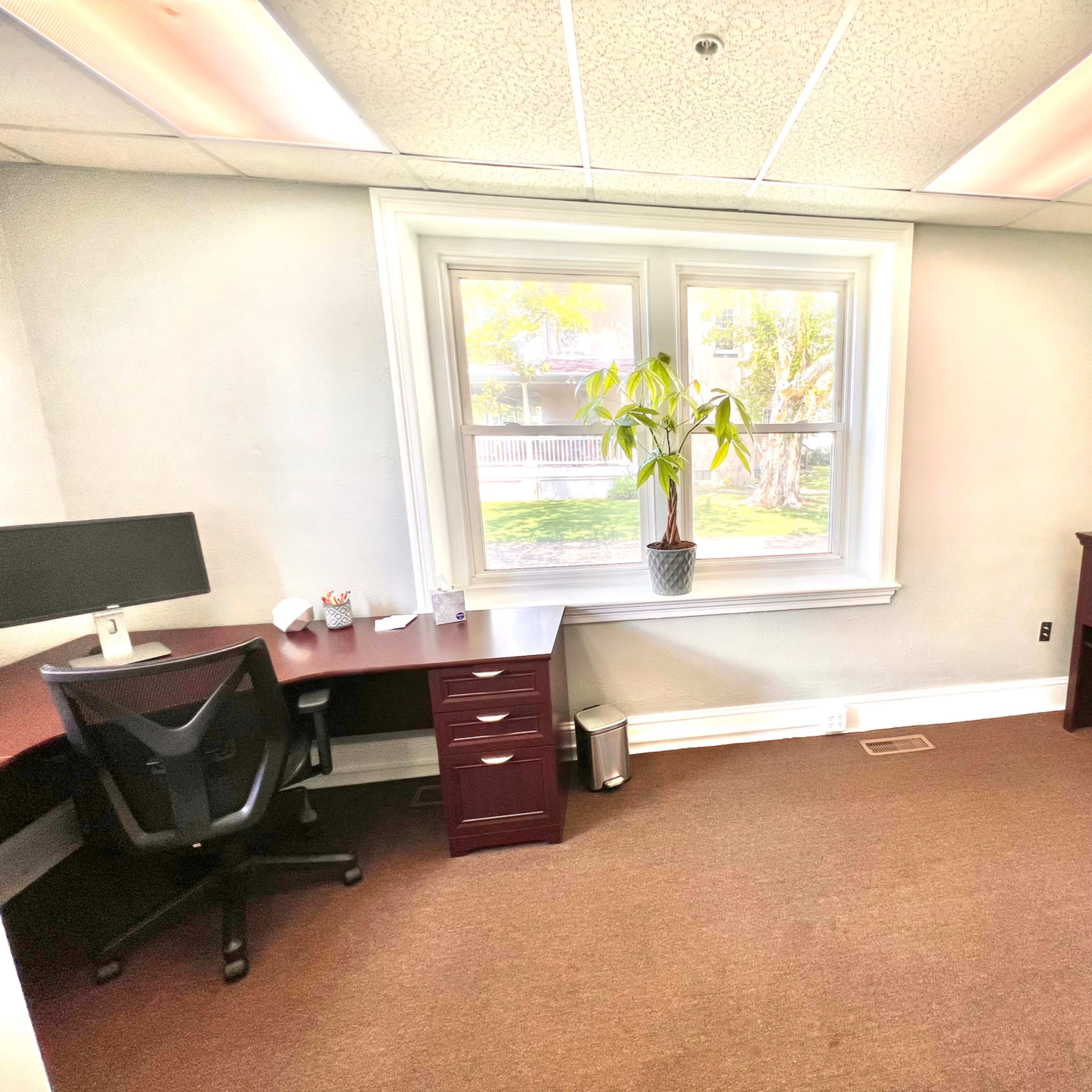 A well-lit office space featuring a desk with a computer, a filing cabinet, and a window with a plant visible outside.