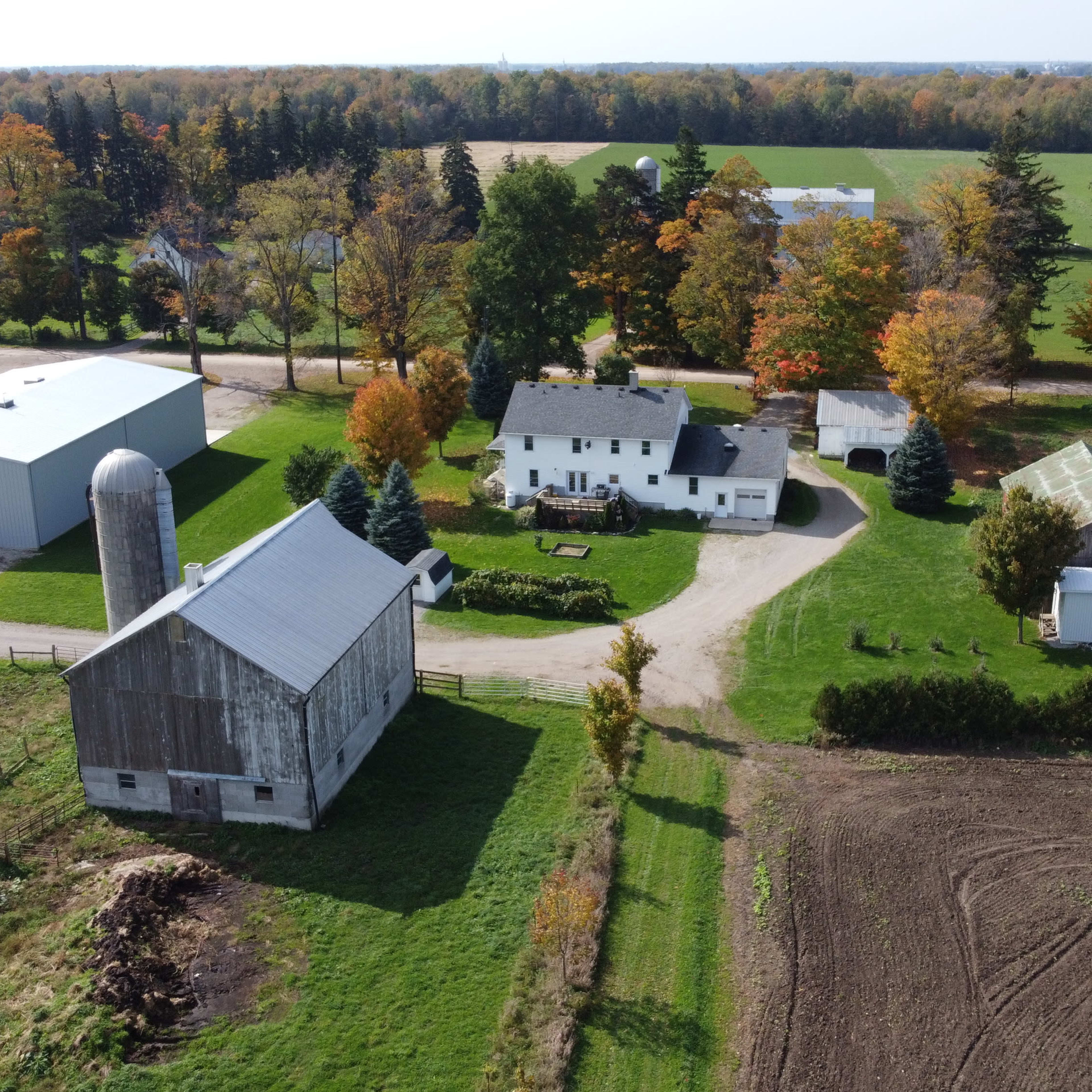 An aerial view of a farm featuring multiple buildings, including a barn, silos, and a white house, surrounded by fields and trees with autumn foliage.