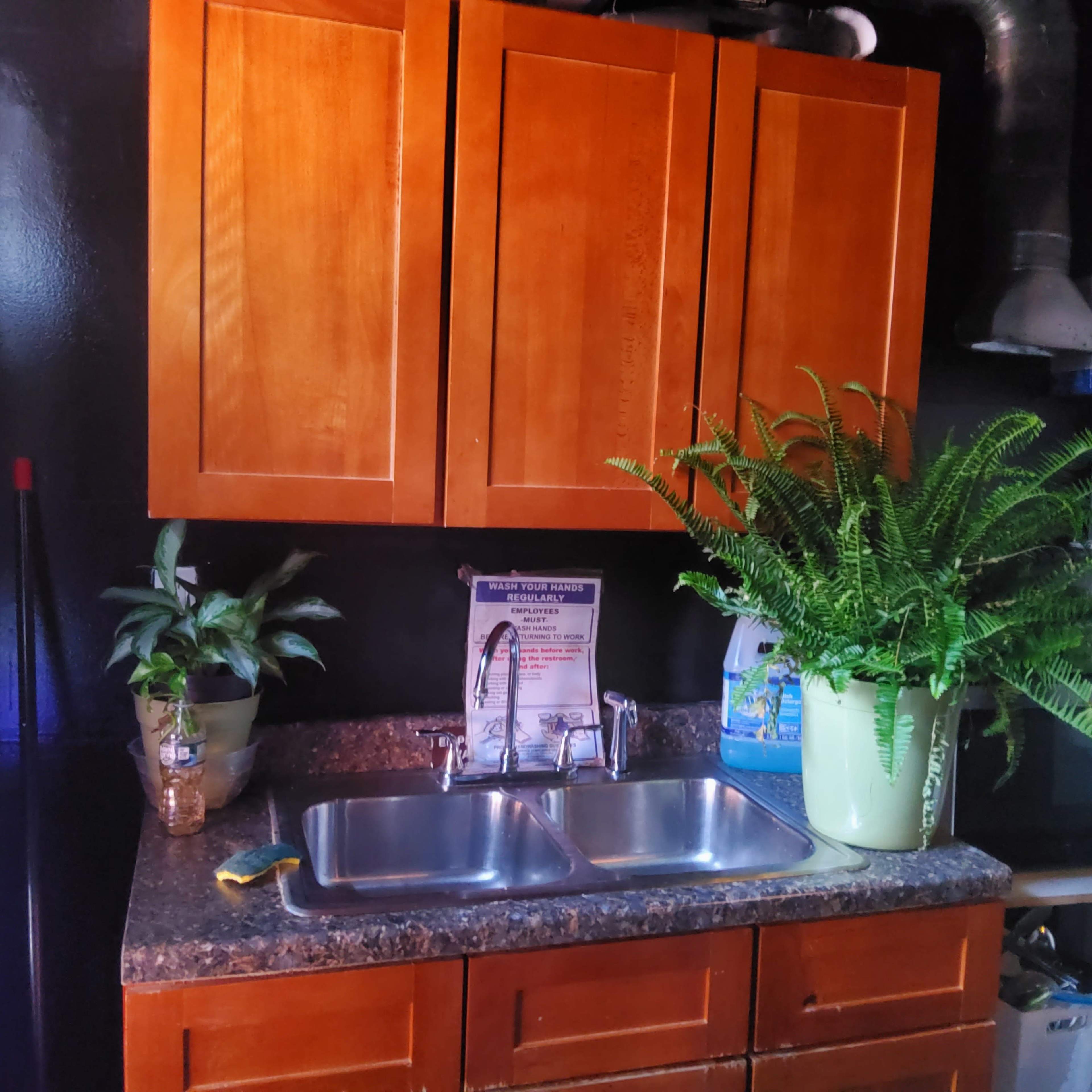 A kitchen area features a countertop with a double sink, wooden cabinets above, and two potted ferns on either side.