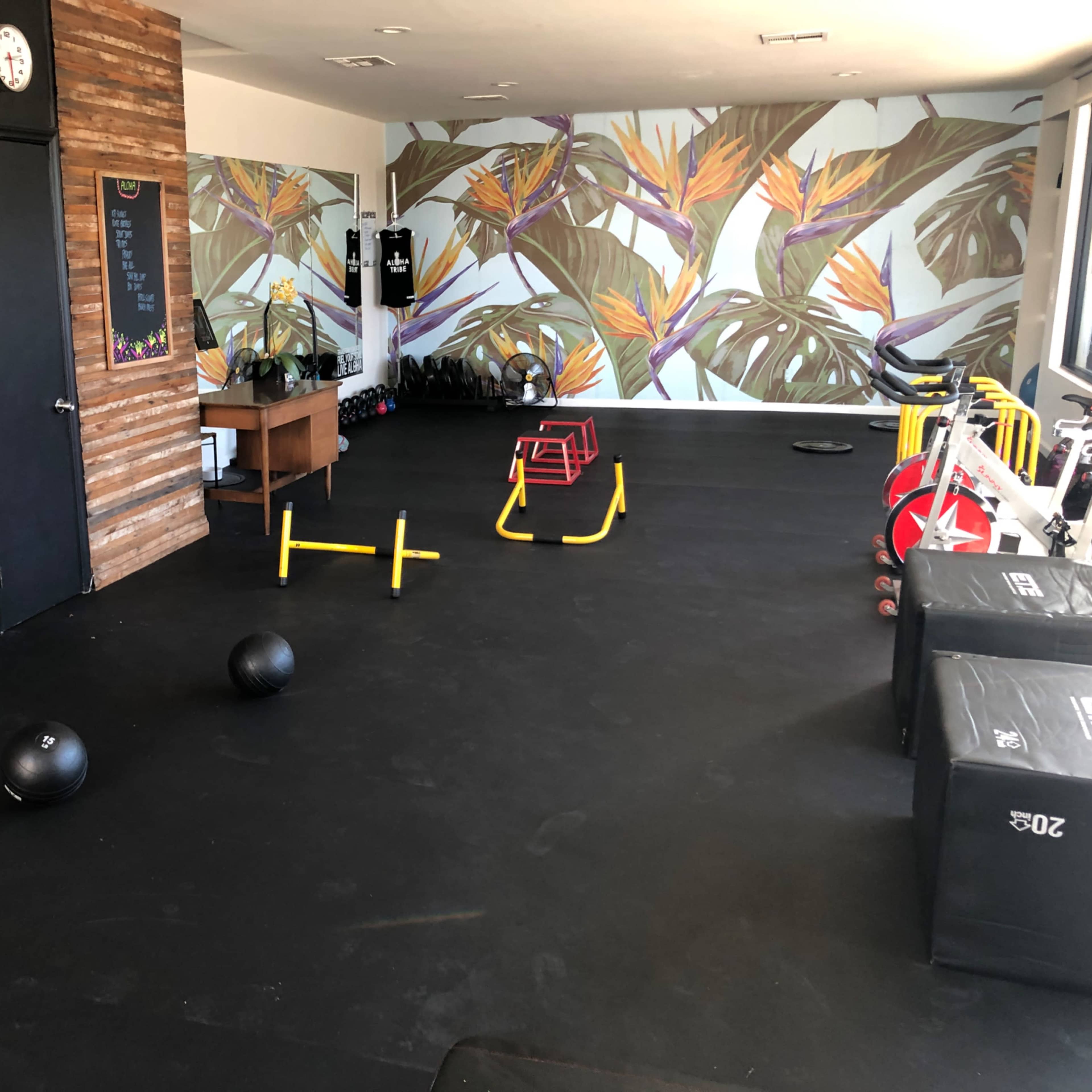 Bright, Beautiful Fitness Studio with Aloha Vibes in the Heart of LA Image in Central LA, Los Angeles, CA