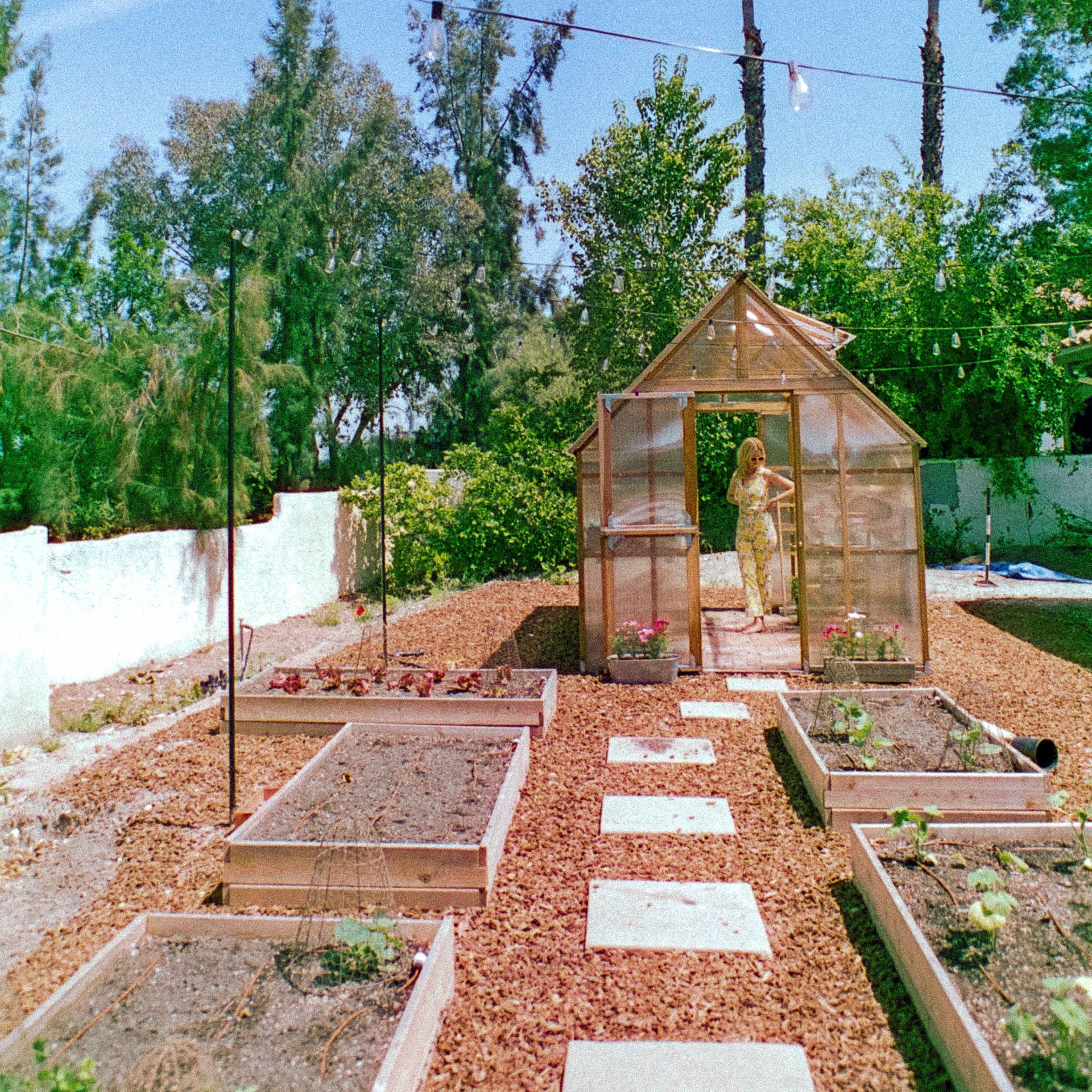 A person stands inside a wooden greenhouse surrounded by garden beds and palm trees under a clear blue sky.