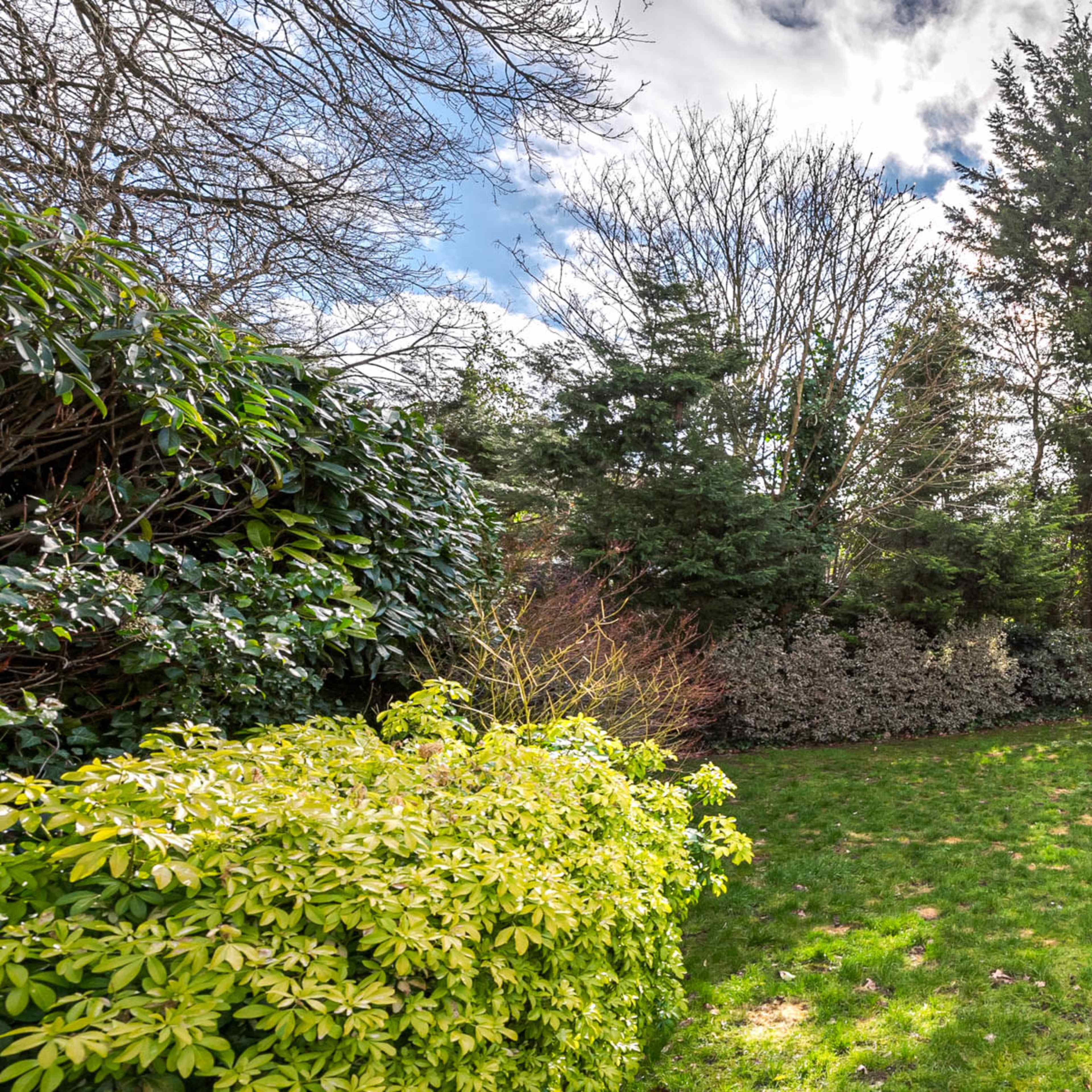 A small, grassy garden is surrounded by dense bushes and trees under a partly cloudy sky.
