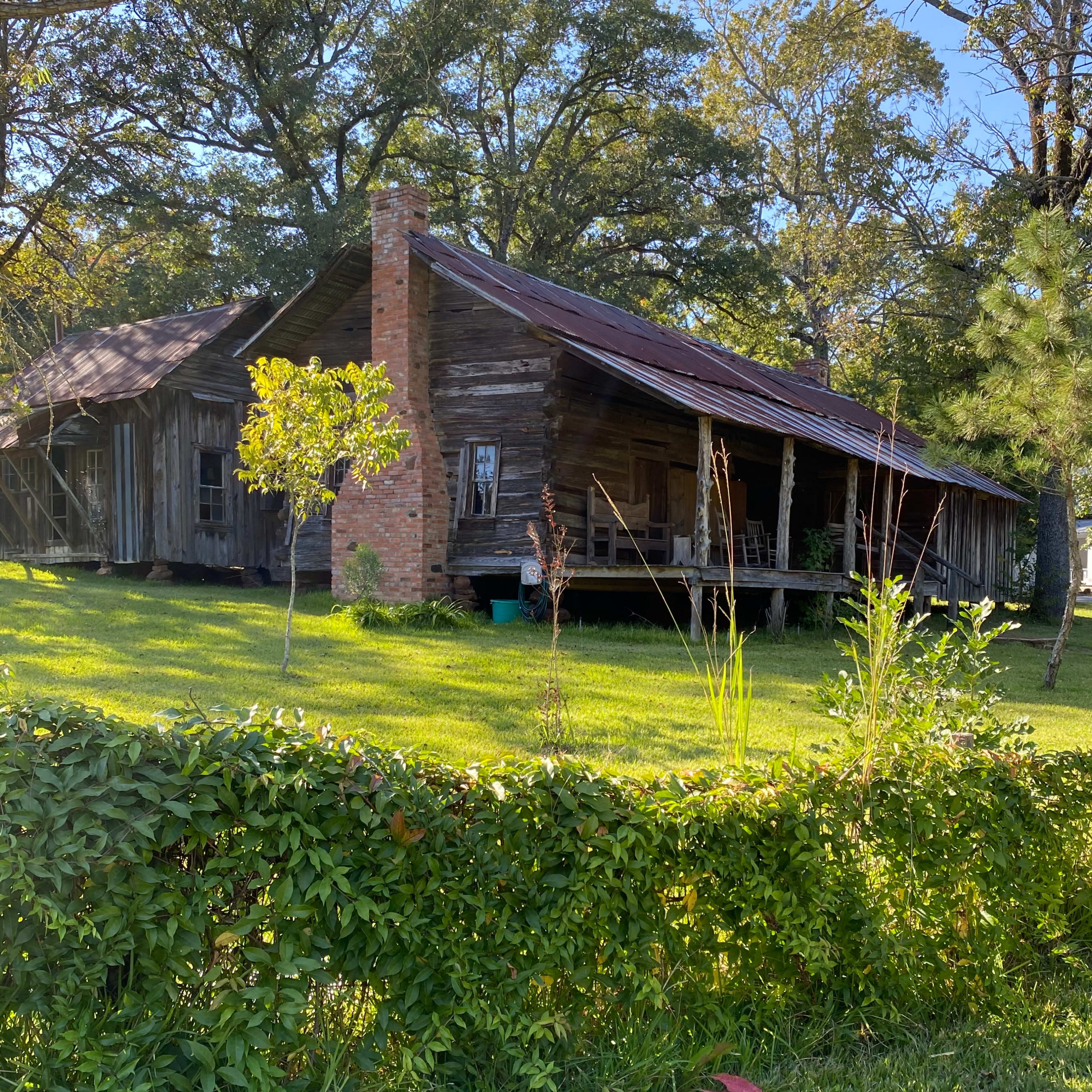 A weathered wooden cabin with a rusty roof is nestled among trees, surrounded by lush green grass and foliage.