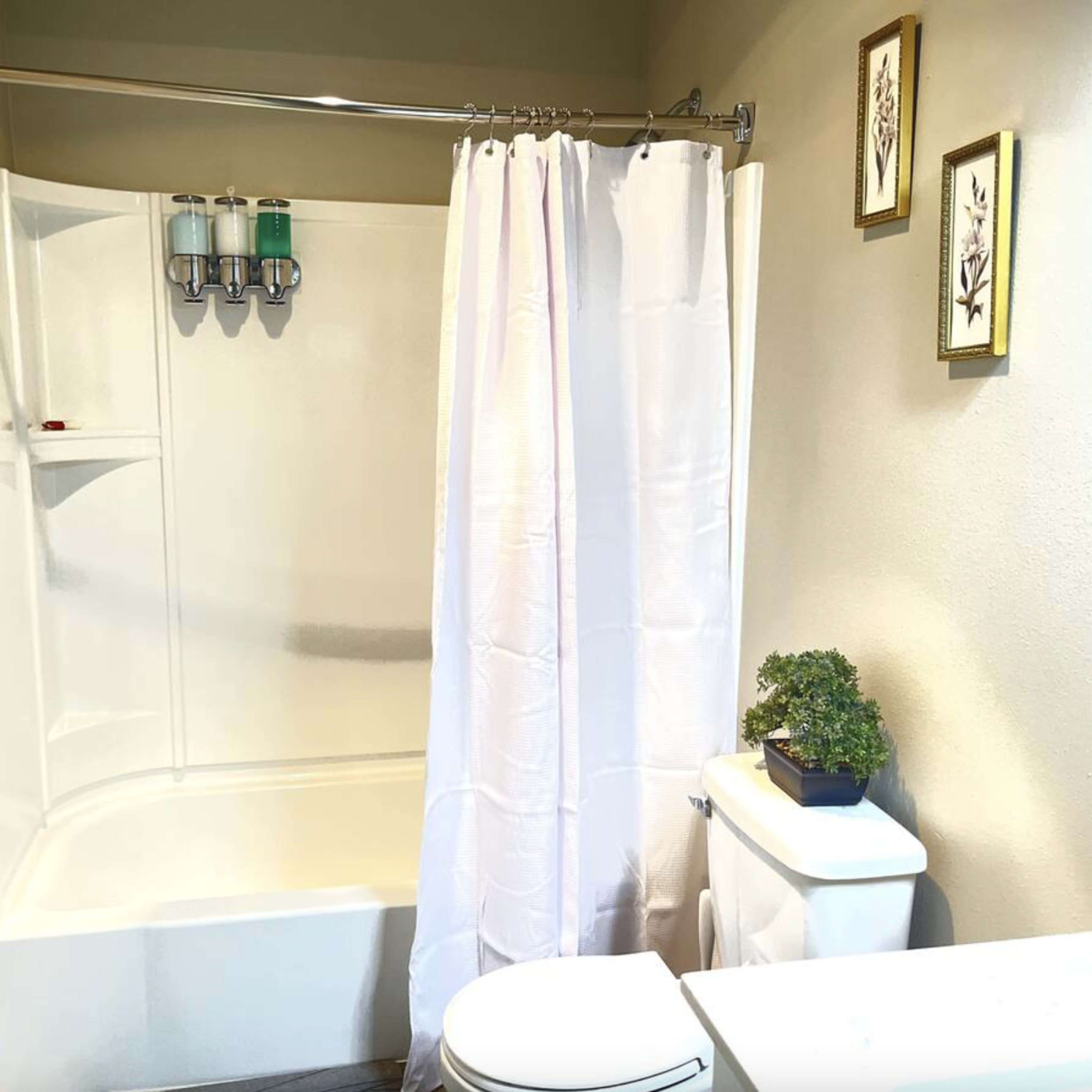 A bathroom featuring a bathtub with a shower curtain, a toilet, and decorative wall art.