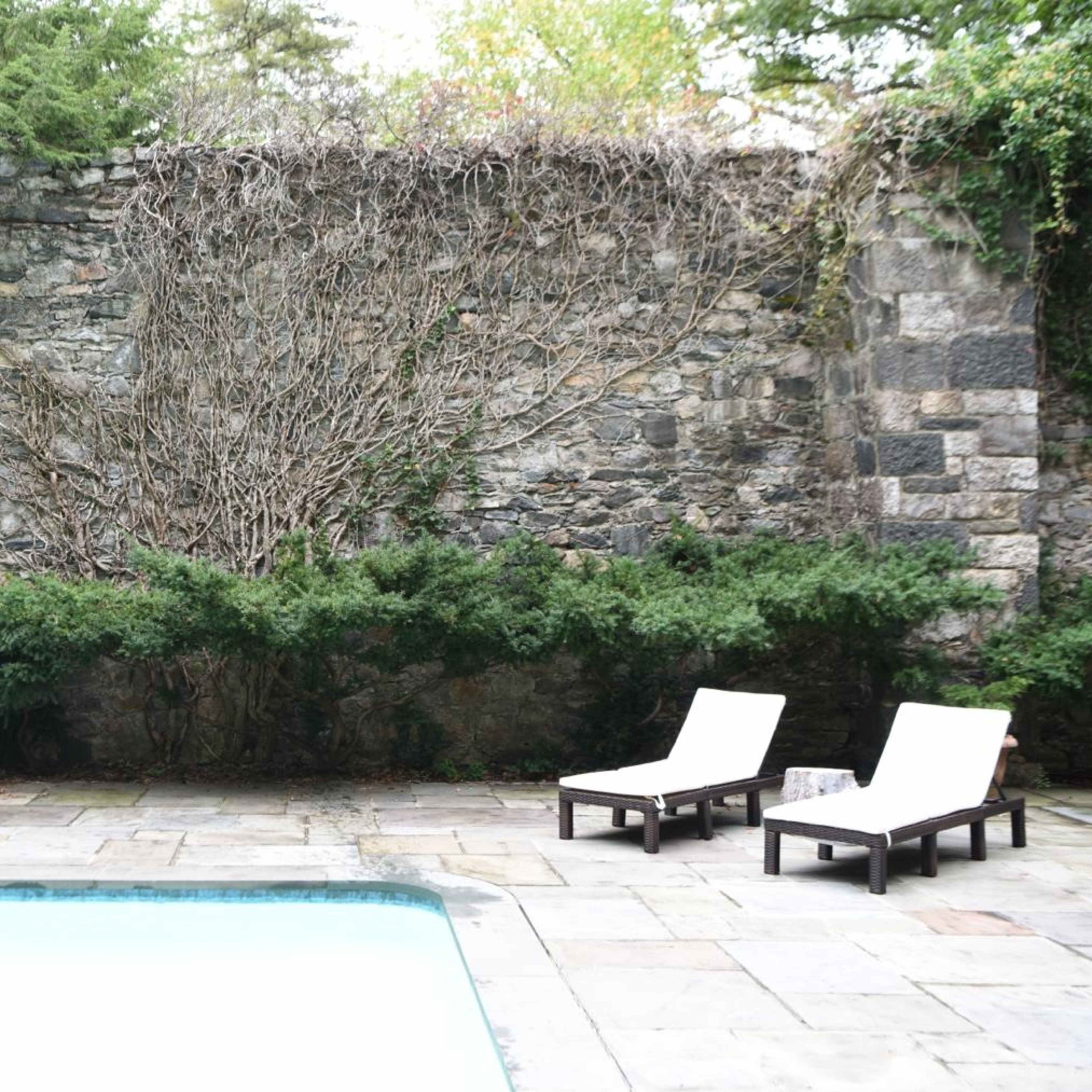 A stone wall covered with vines beside a swimming pool, with two white lounge chairs and a large inflatable swan floating in the water.