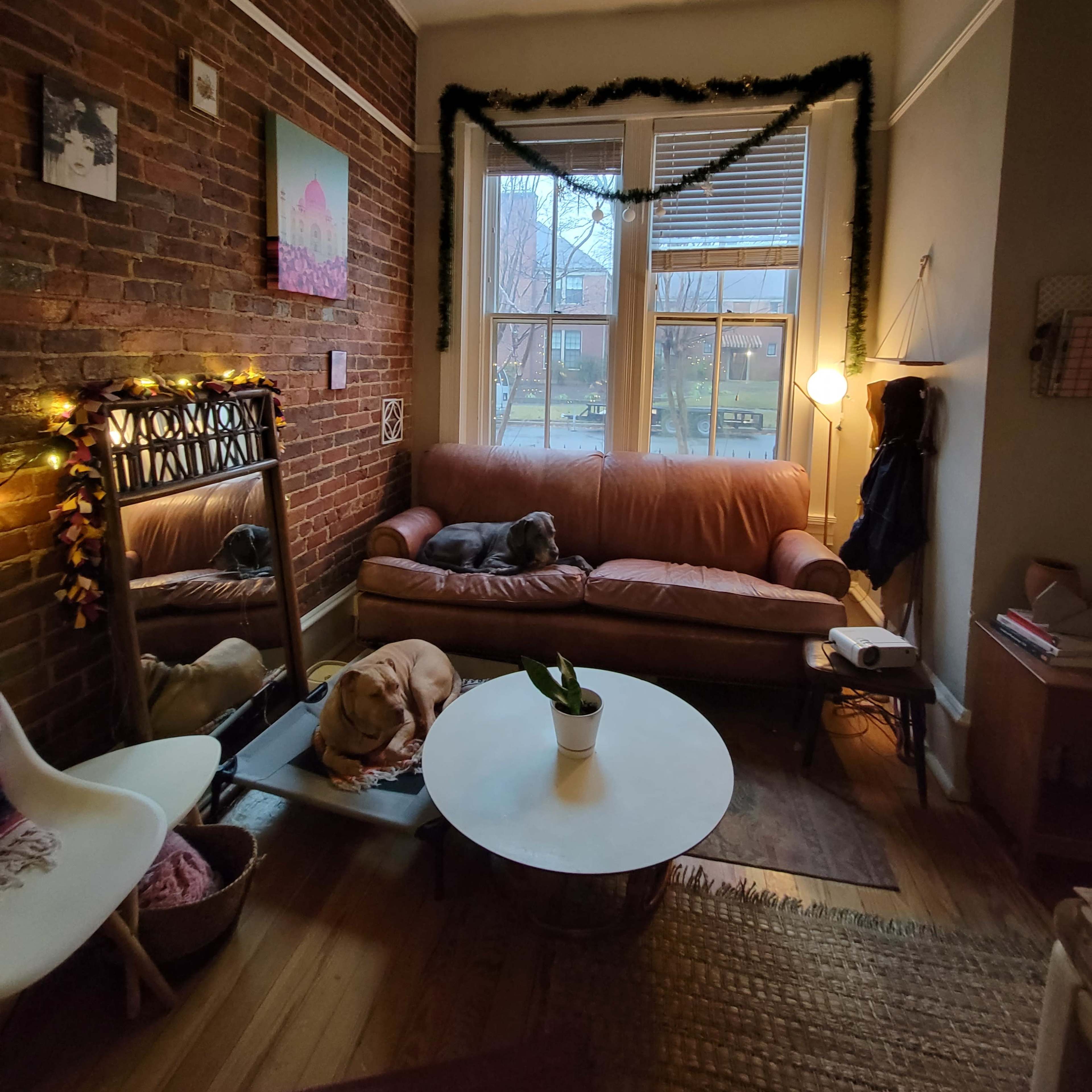 A cozy living room with a brick wall, a pink sofa, a coffee table, a large mirror, and two dogs resting on the floor near the window.