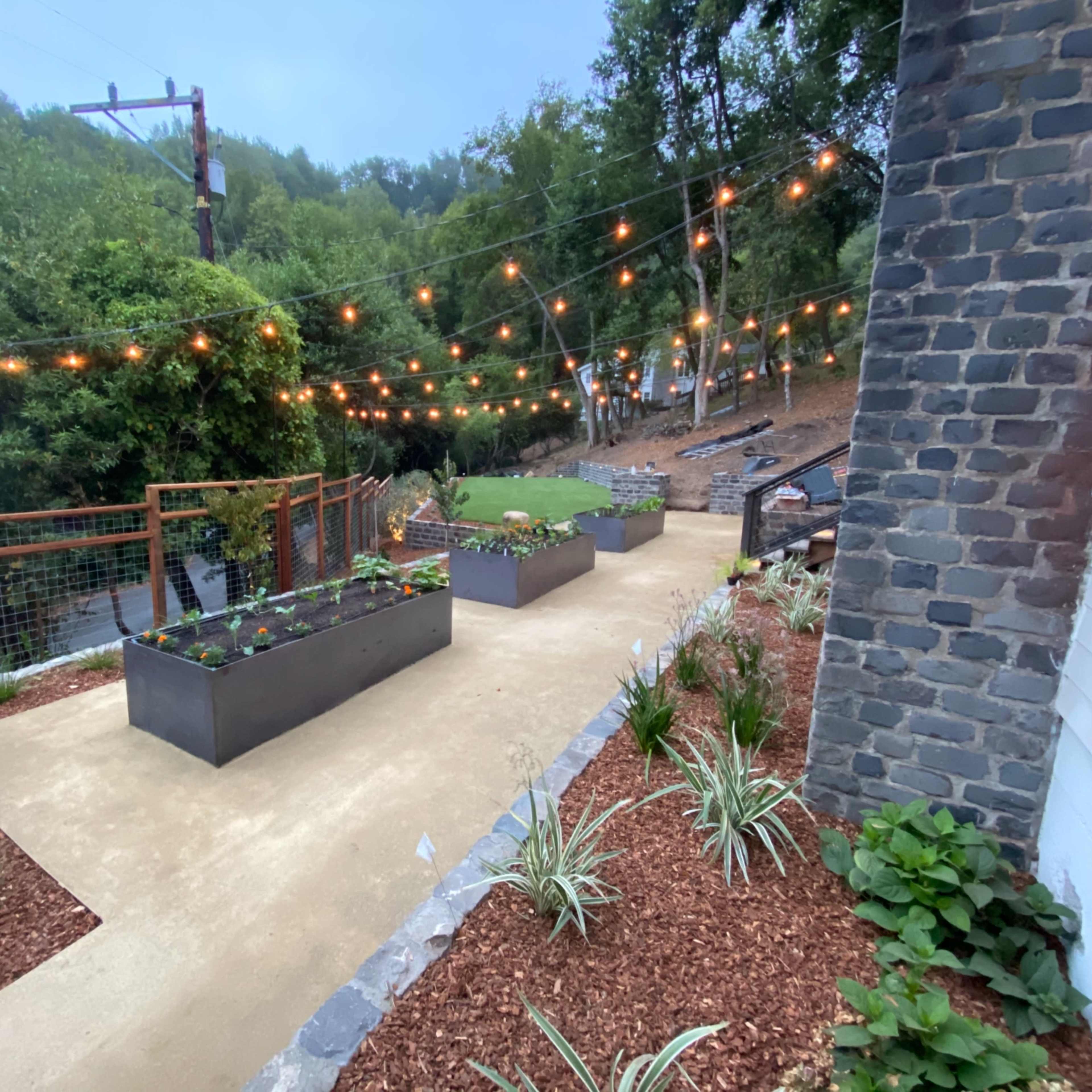 A landscaped outdoor area with raised garden beds, decorative string lights overhead, and a path lined with plants.
