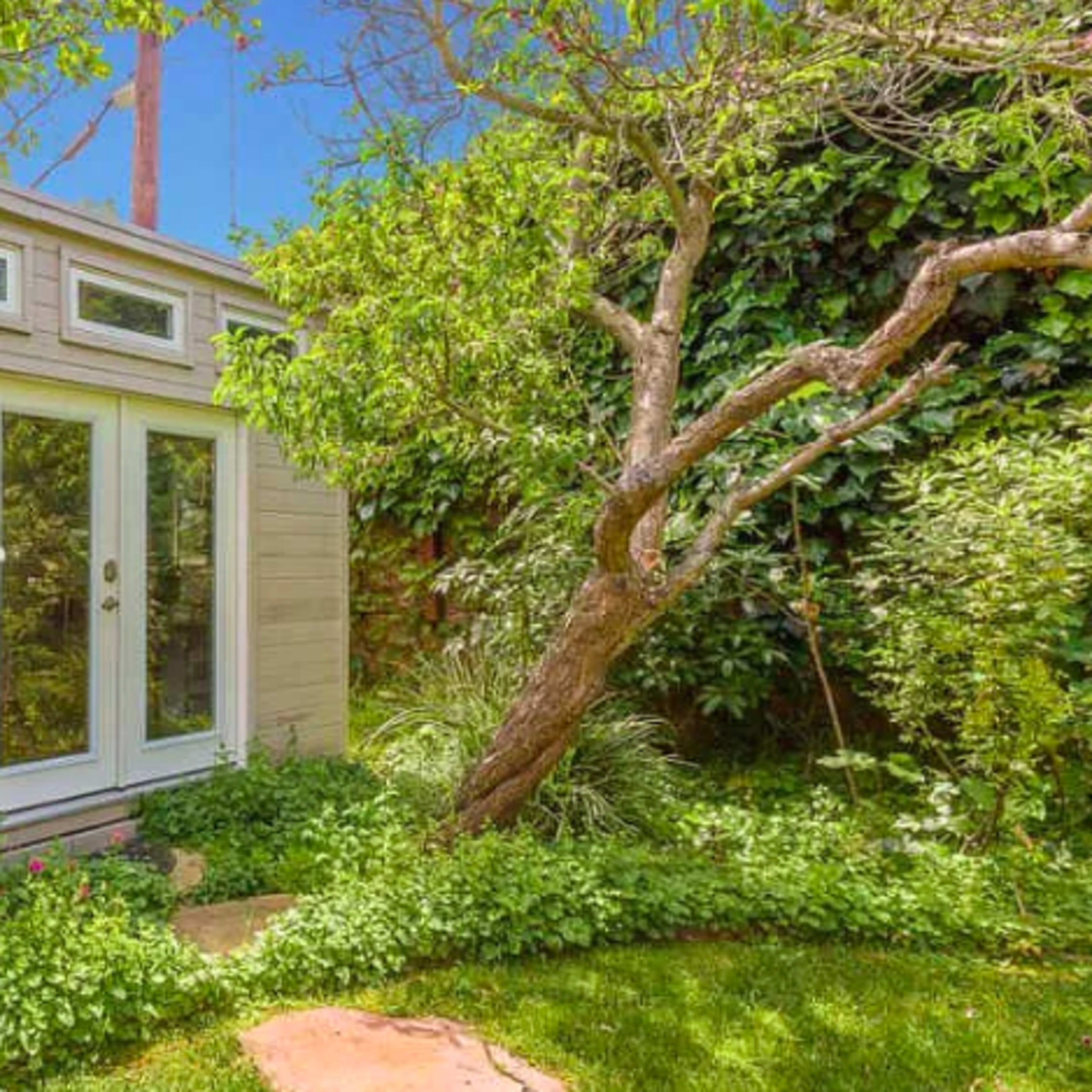 A small wooden shed is surrounded by lush greenery and trees in a garden setting.